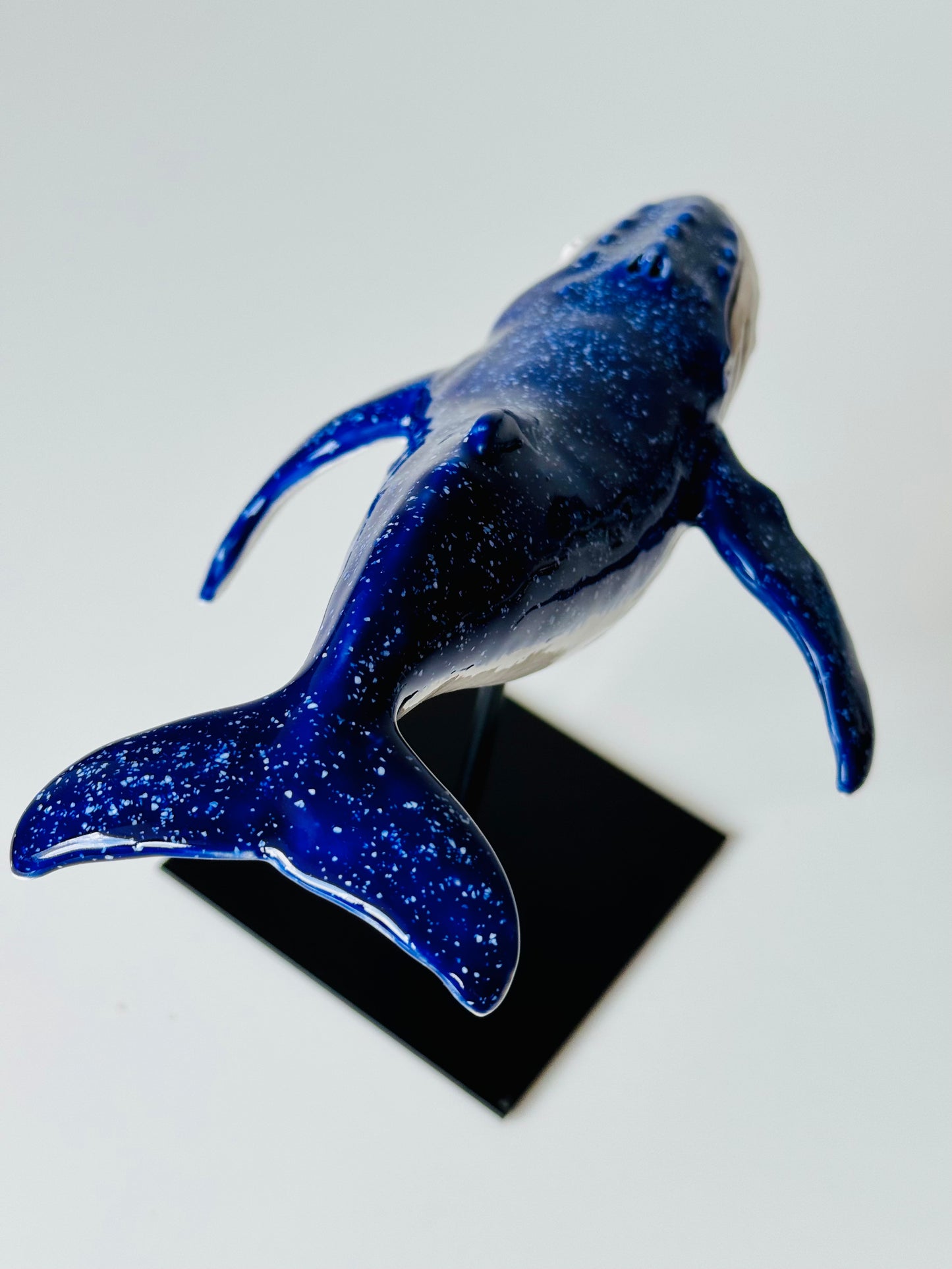Baby Humpback Whale
