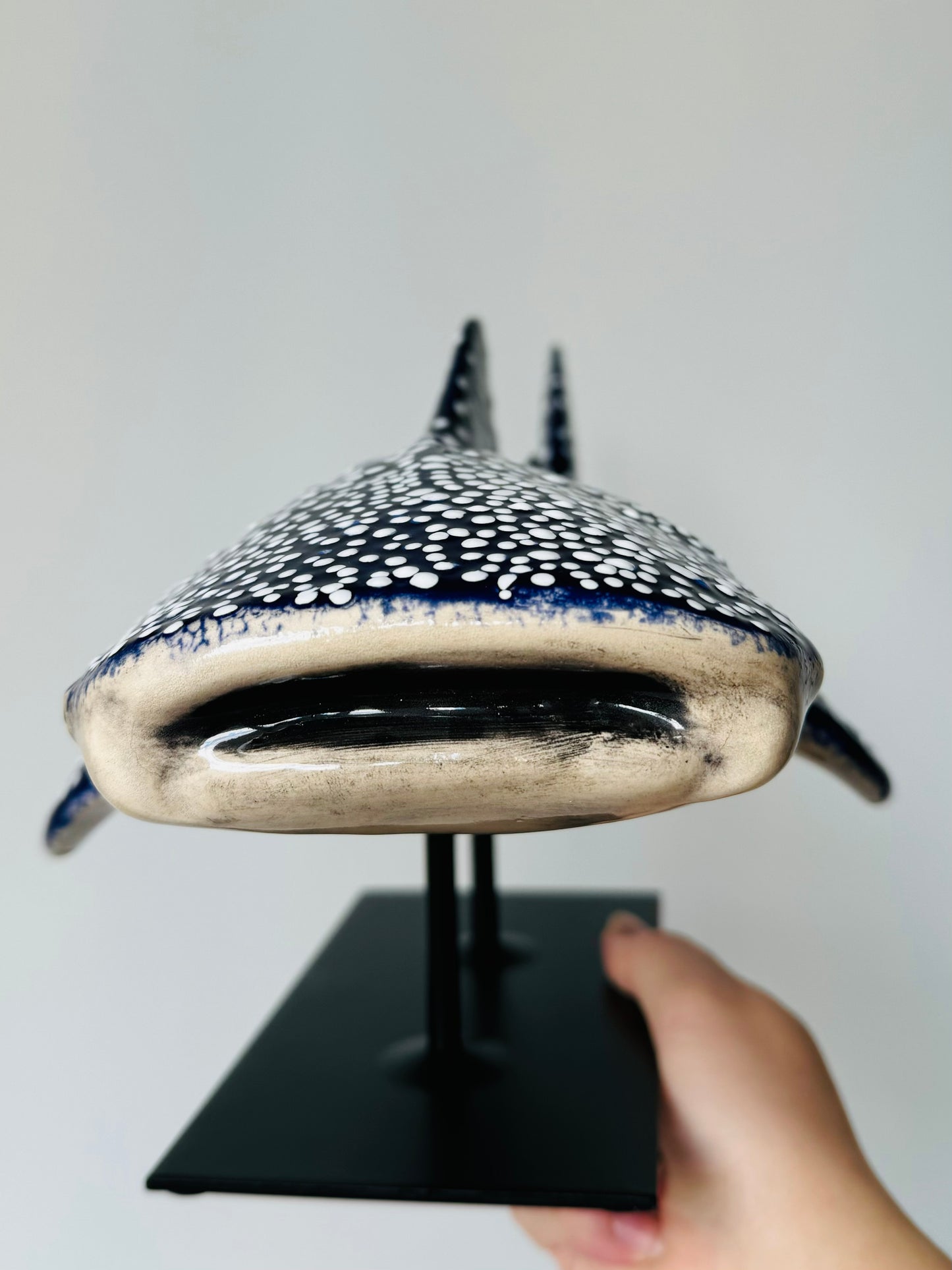 Whale Shark on a metal stand