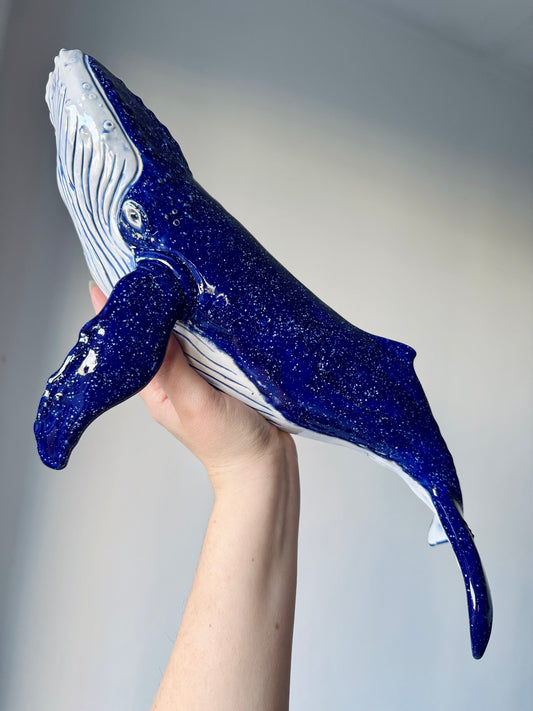 Big Humpback Whale