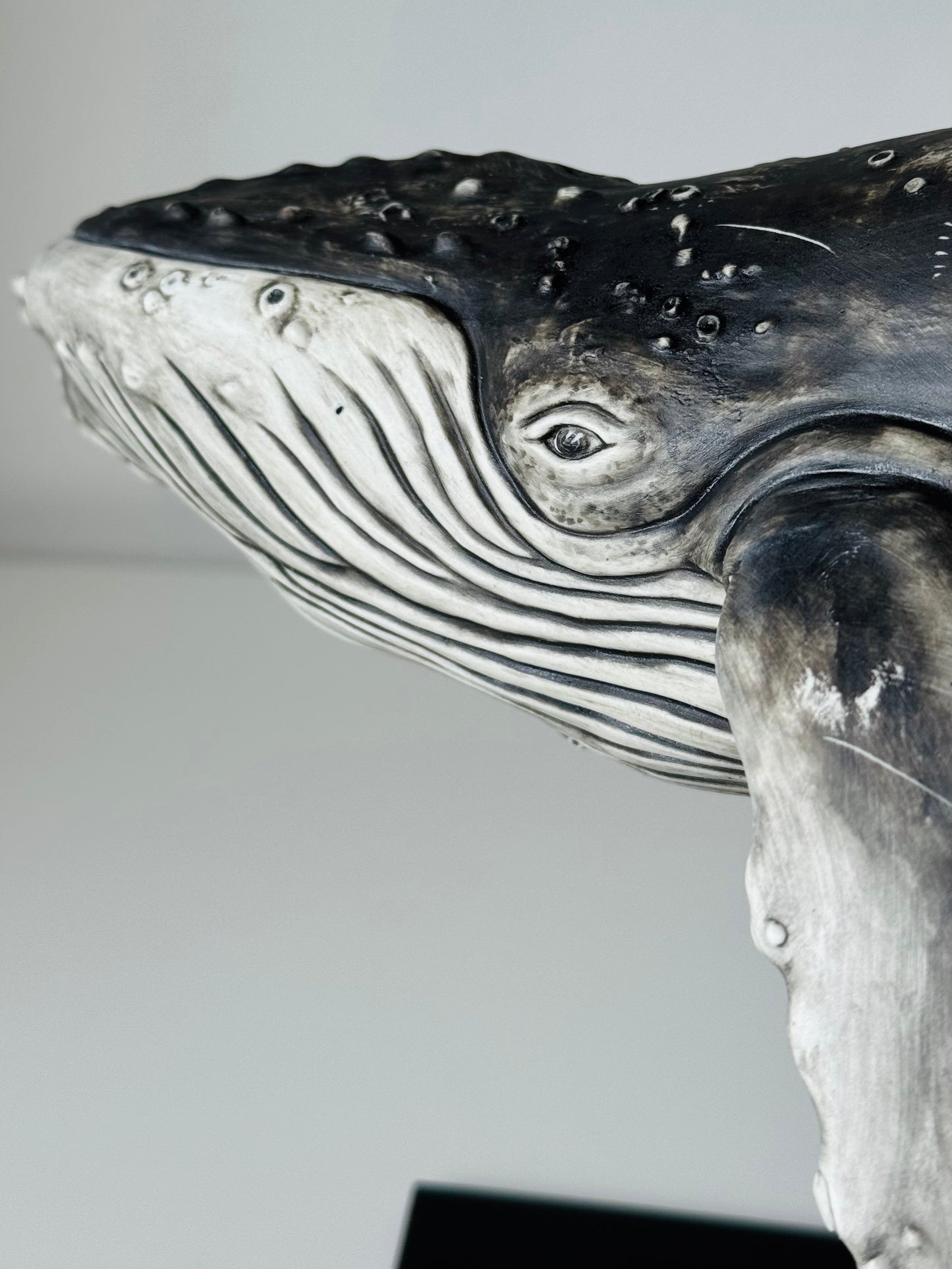 Big Humpback Whale