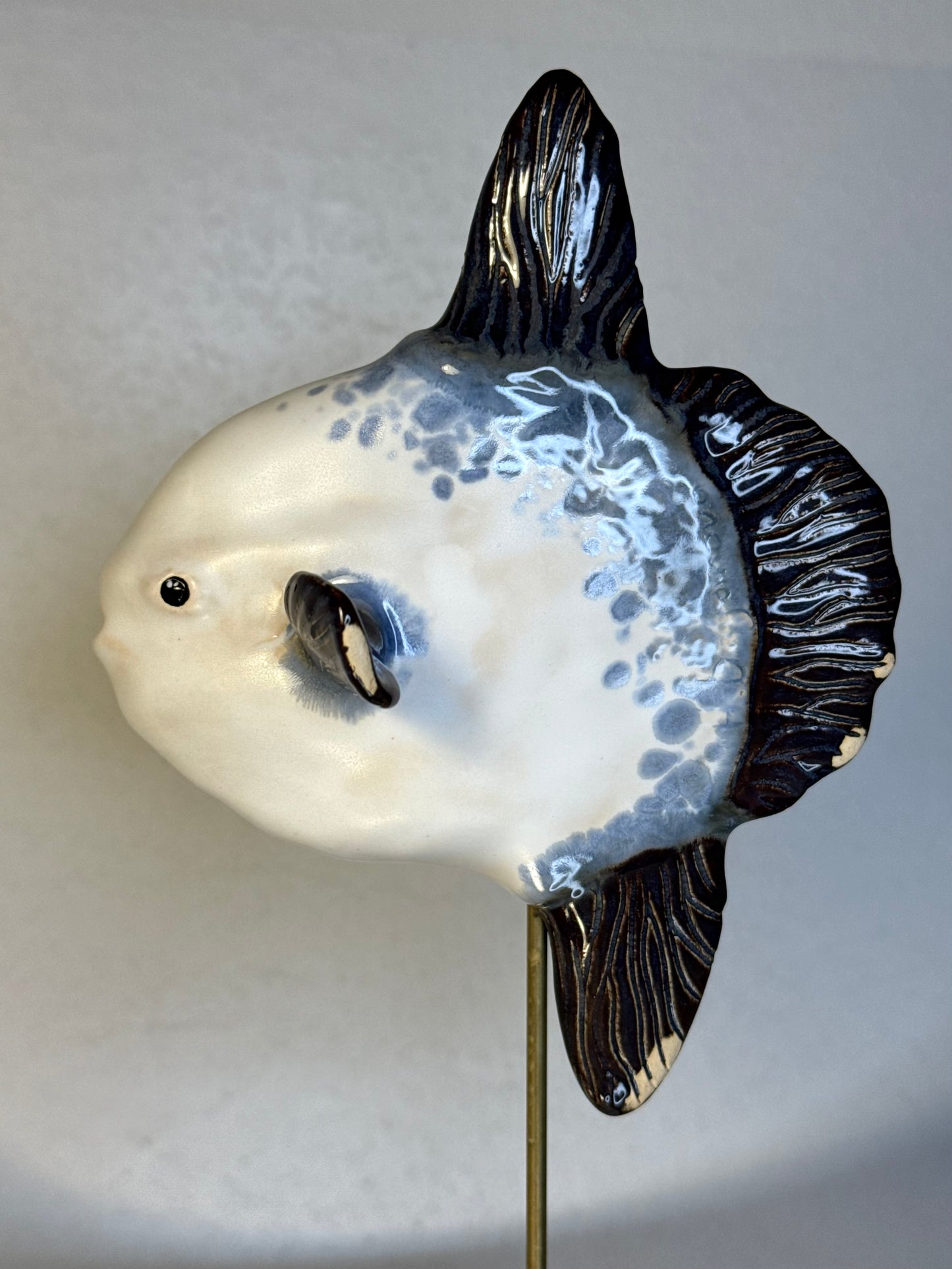 Mola Mola