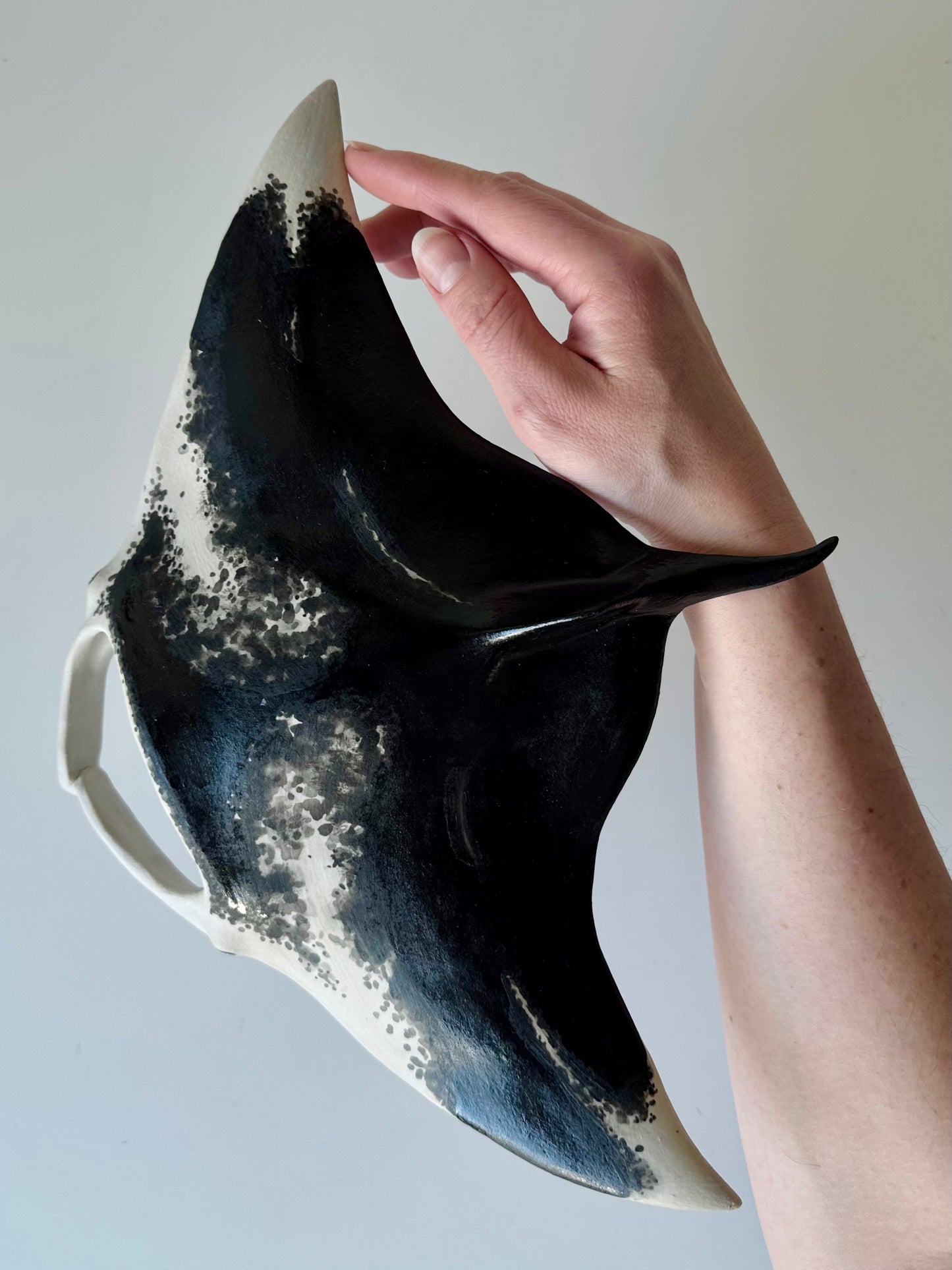 Big Manta Ray