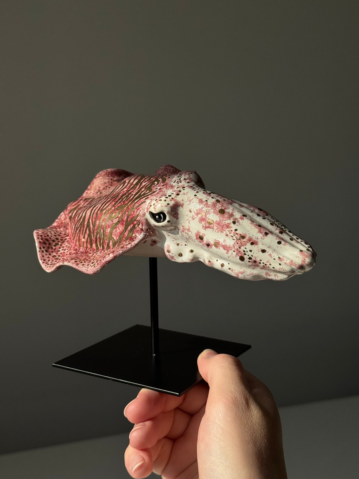 Cuttlefish