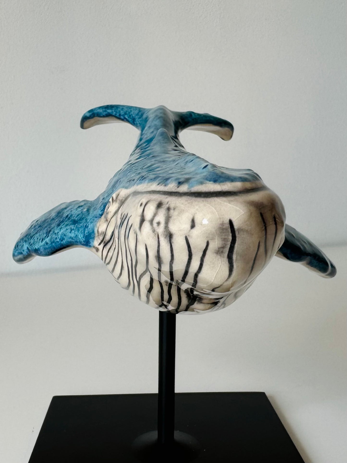 Humpback Whale on a stand