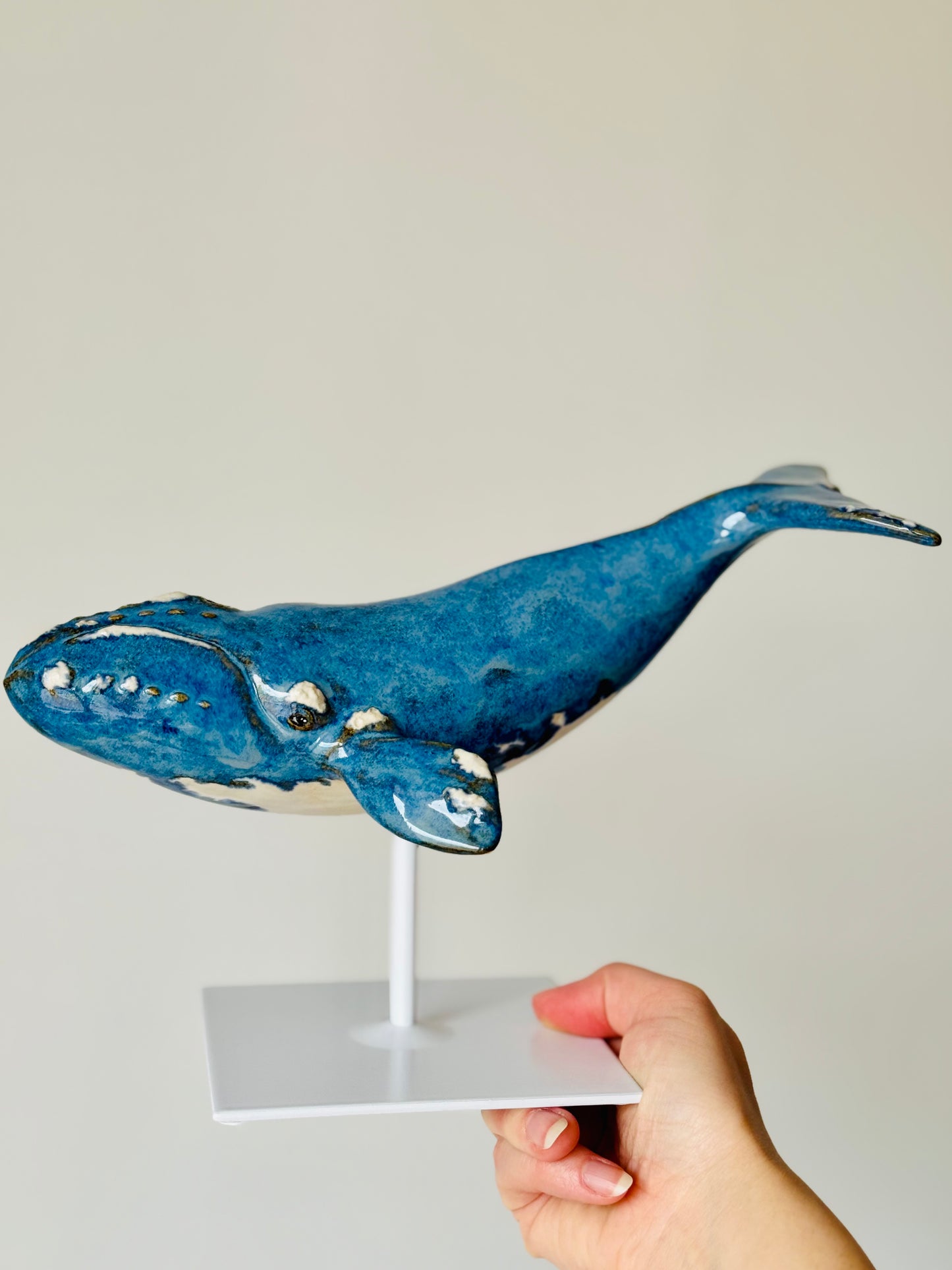 Right Whale on a metal stand