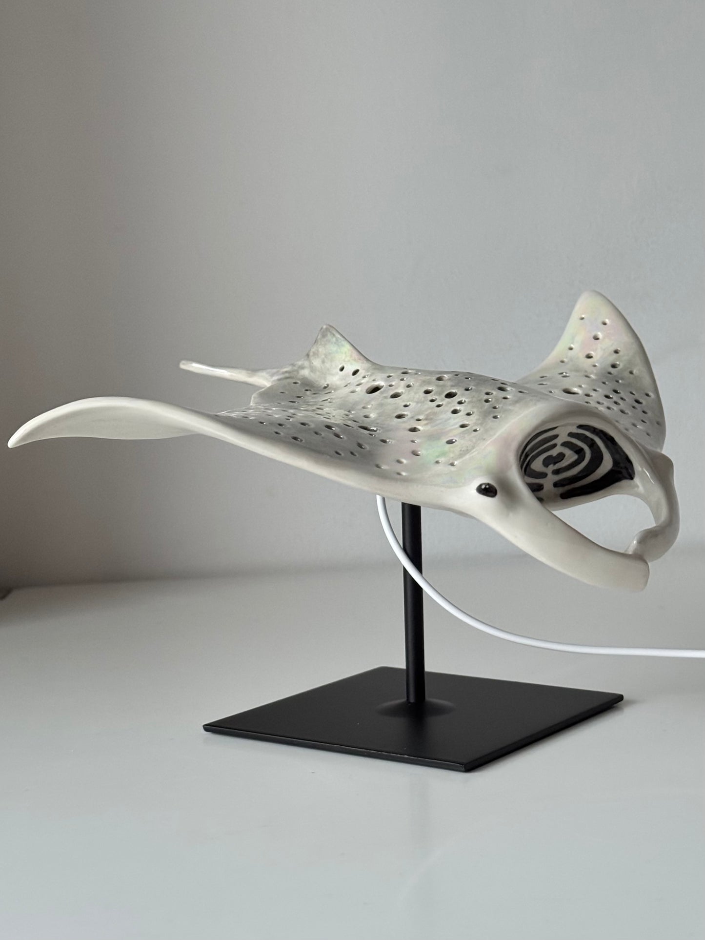 Big Manta Ray