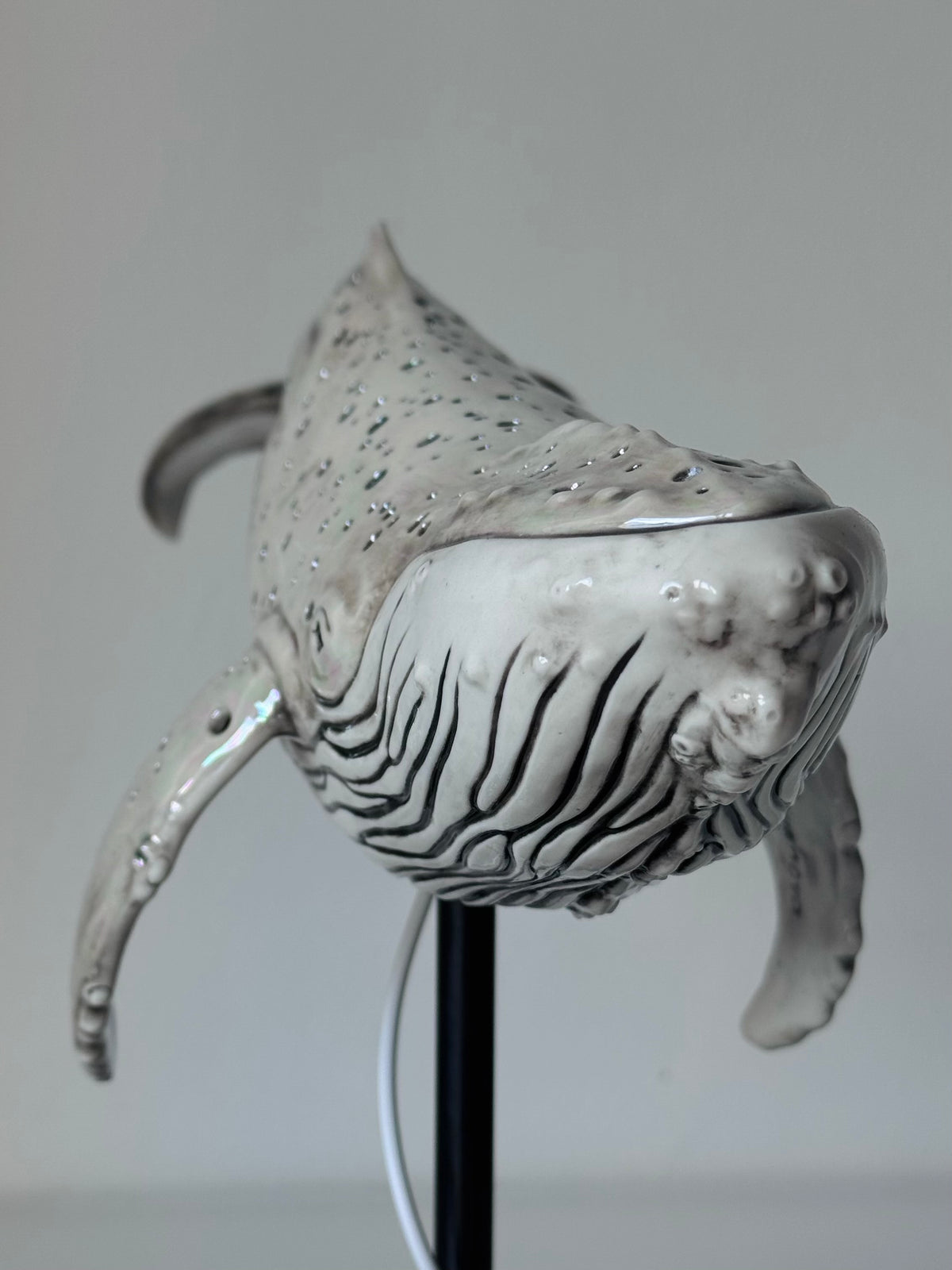Whale Lamp