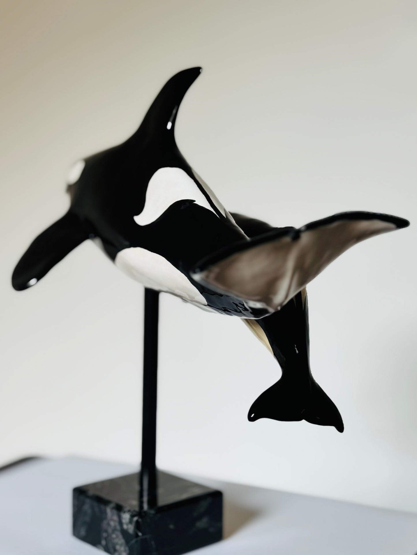 Mother and Calf Orcas