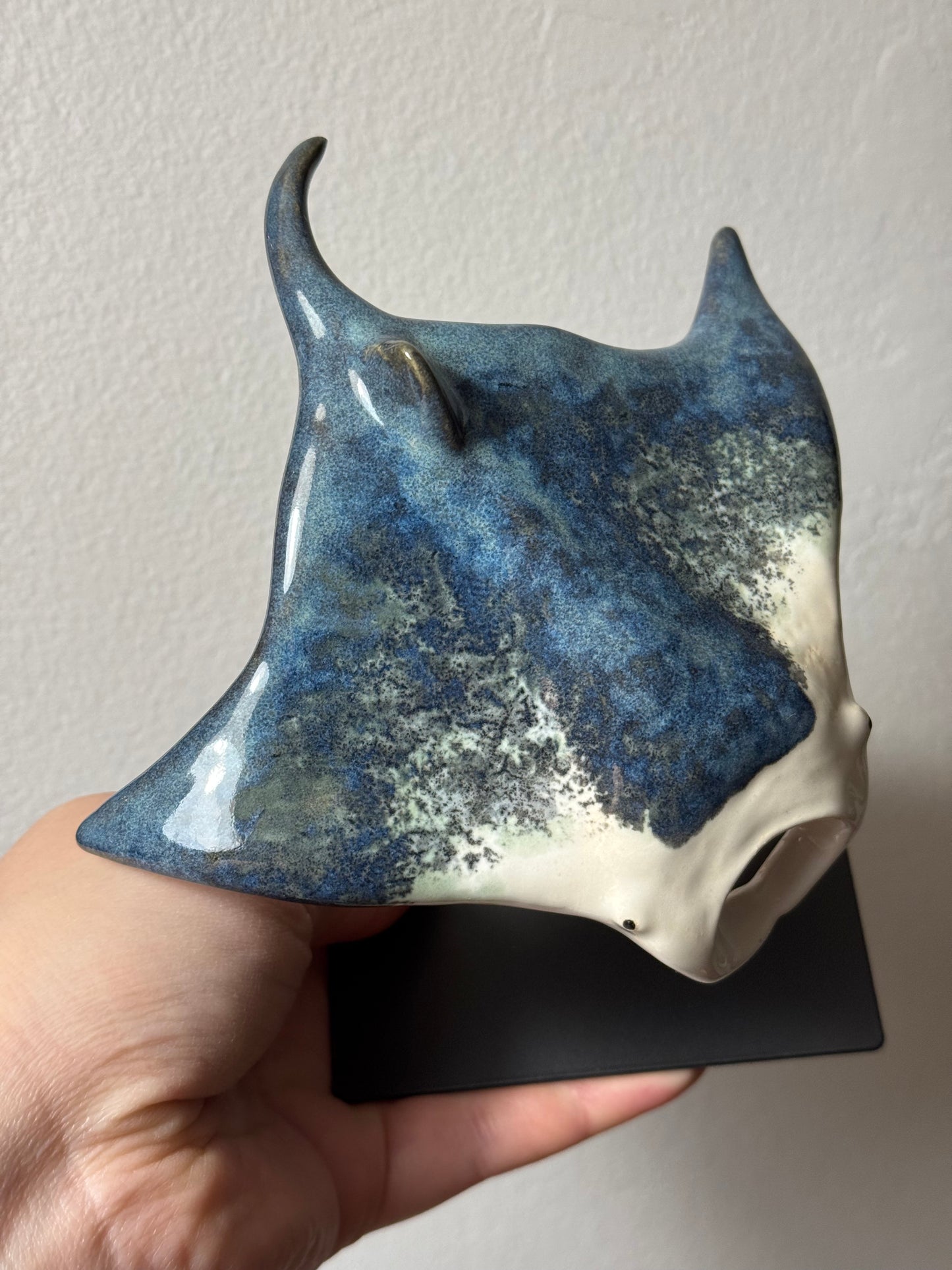 Manta Ray on a stand