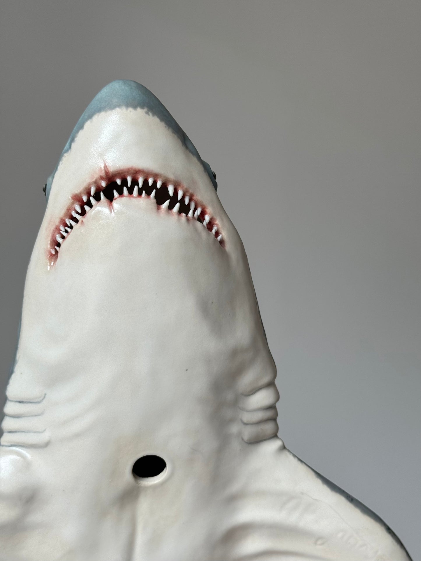 Great White Shark