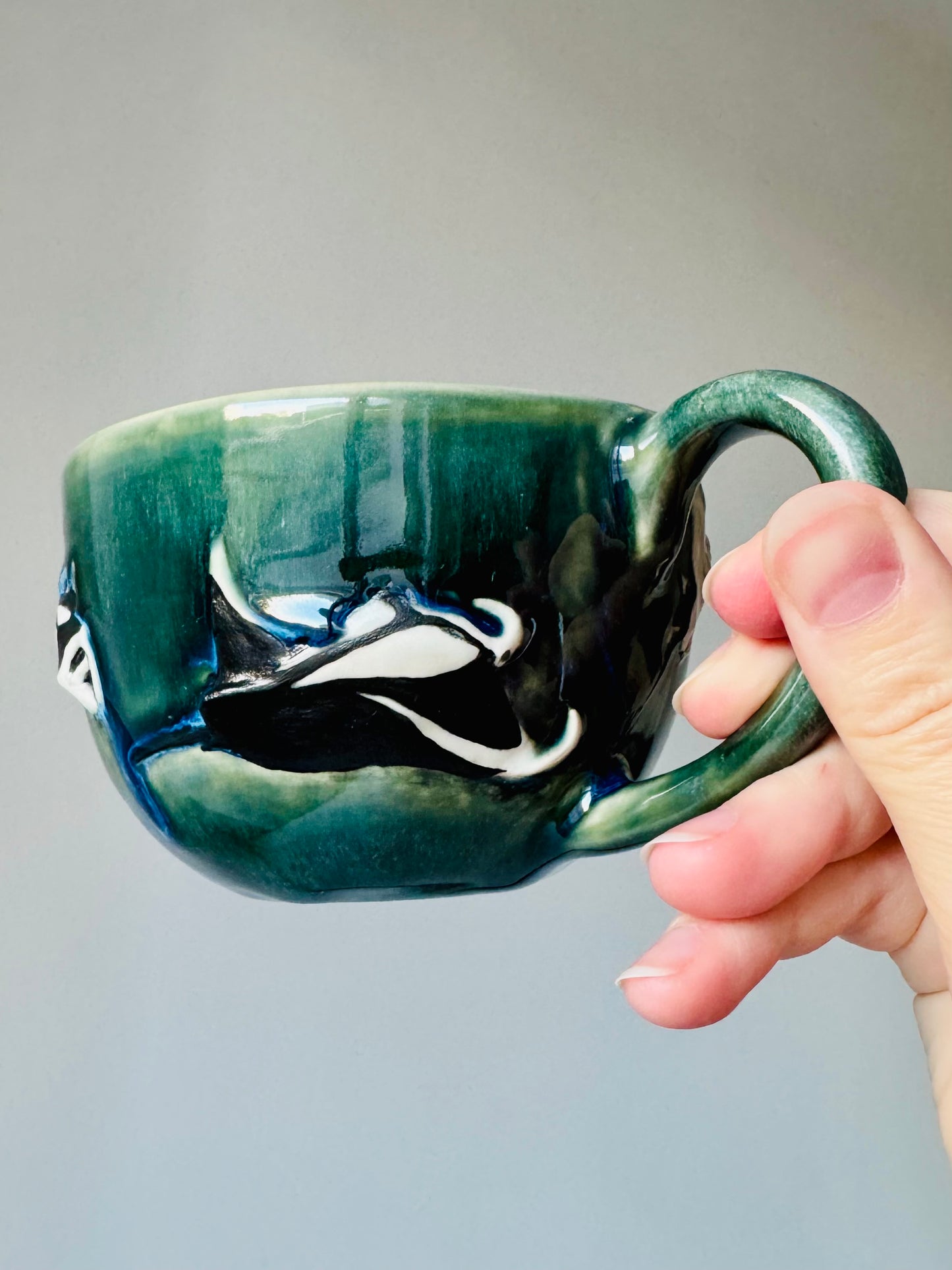 Flying Mantas Mug