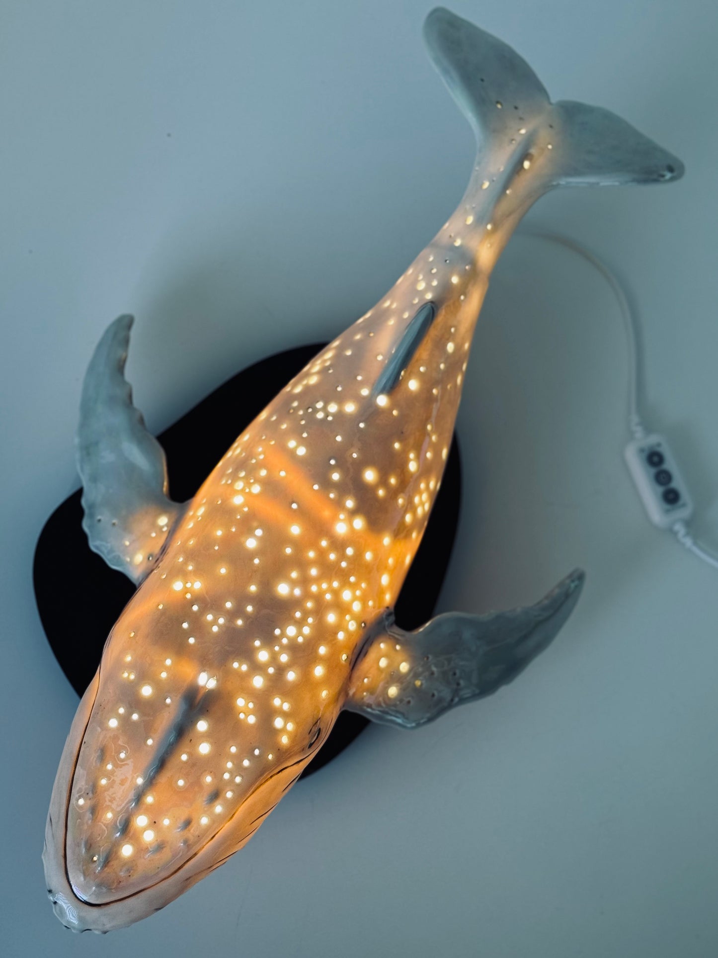 Porcelain Whale Lamp