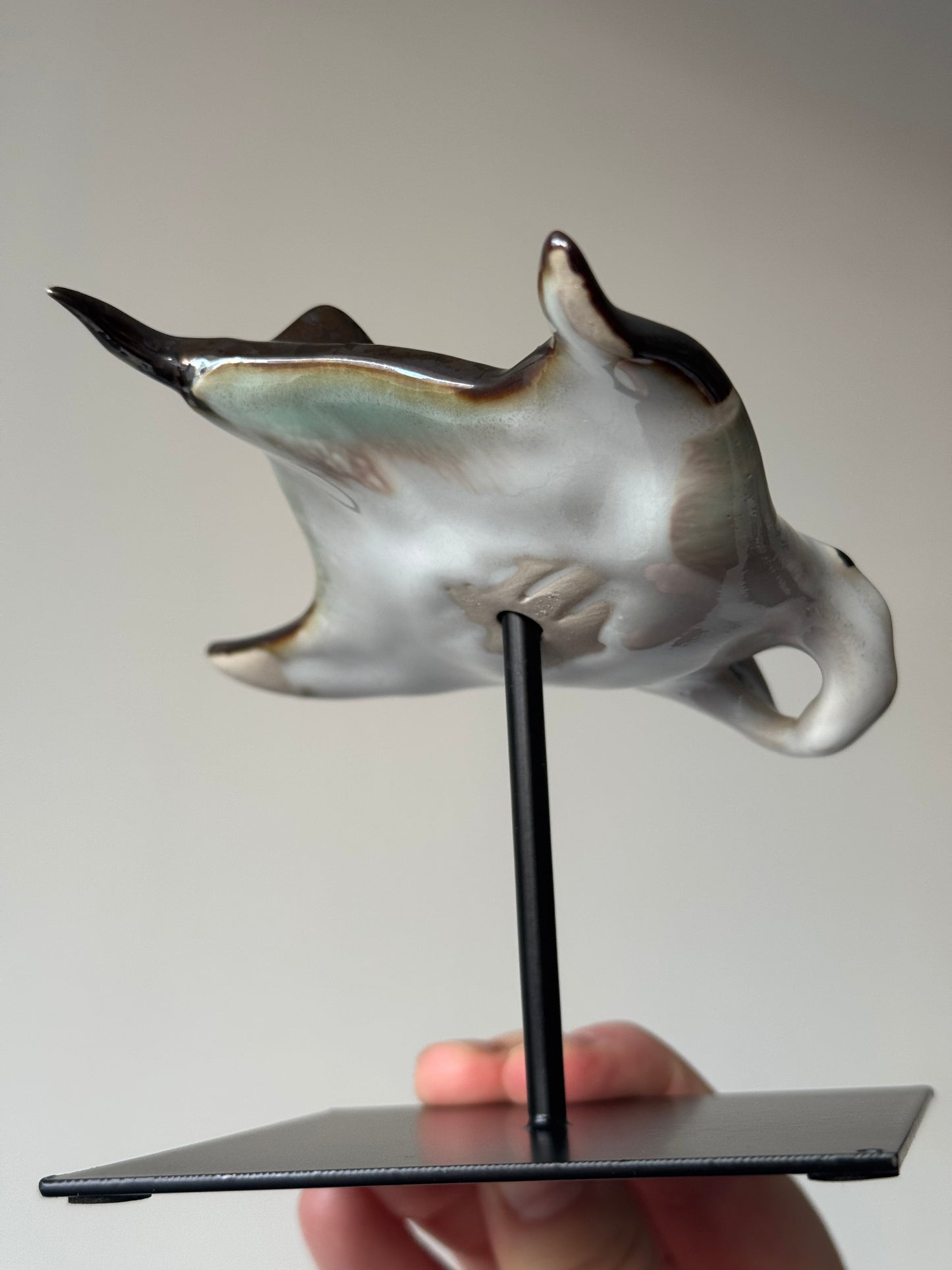 Manta Ray on a stand