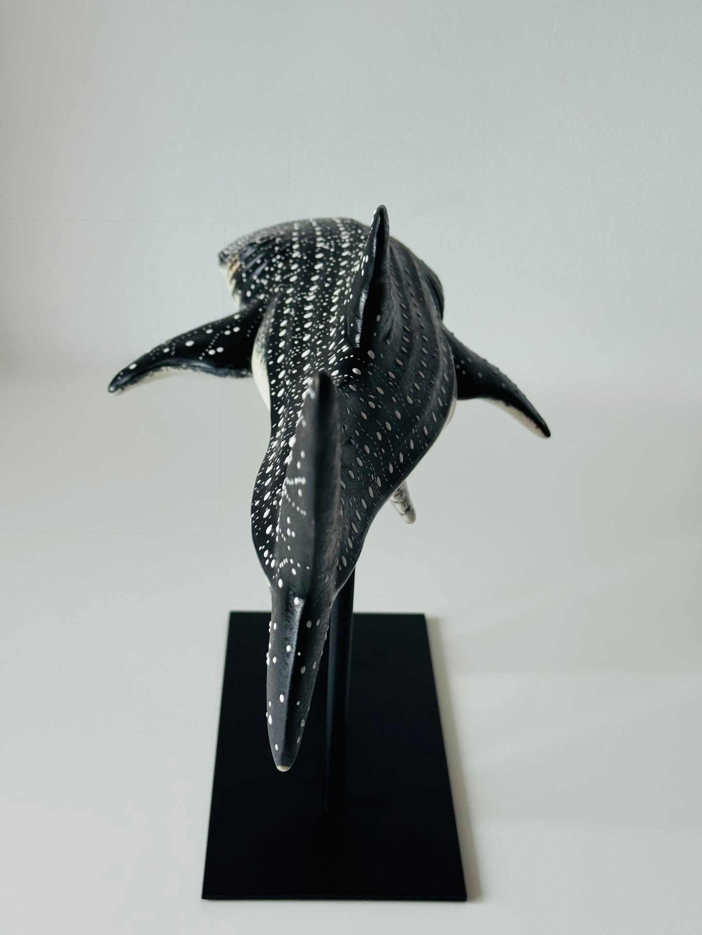 Whale Shark