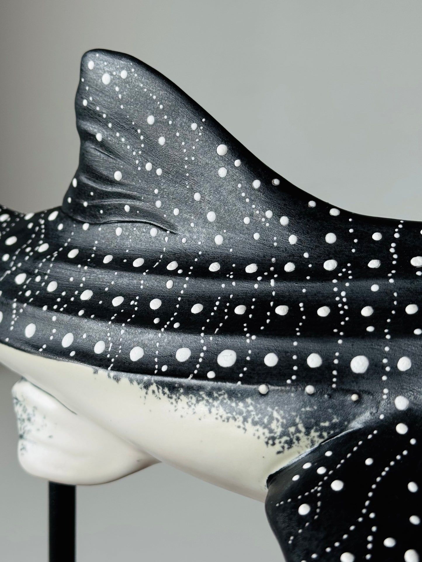 Whale Shark