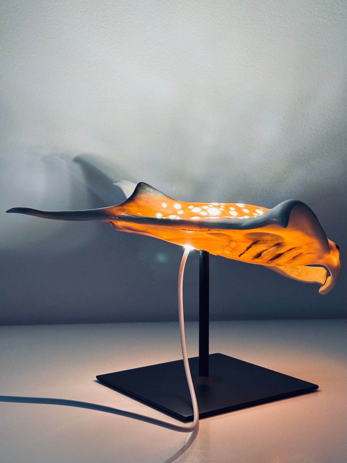 Big Manta Ray