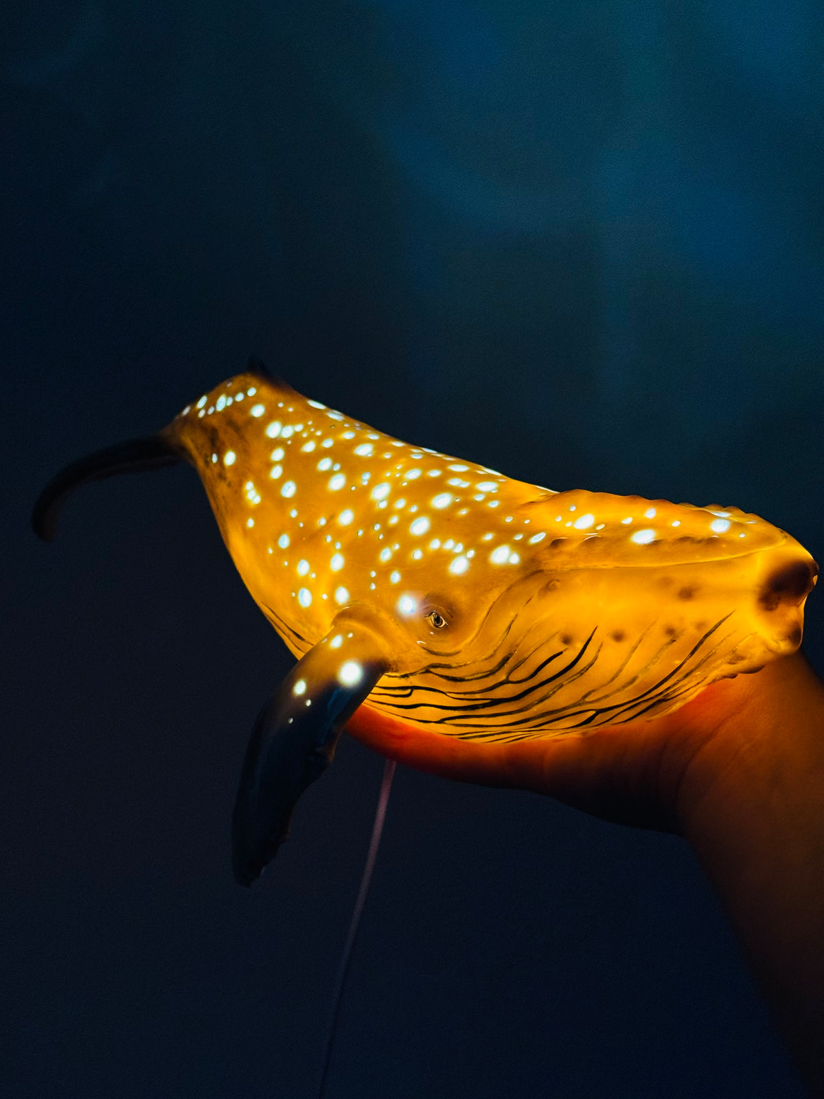 Whale Lamp