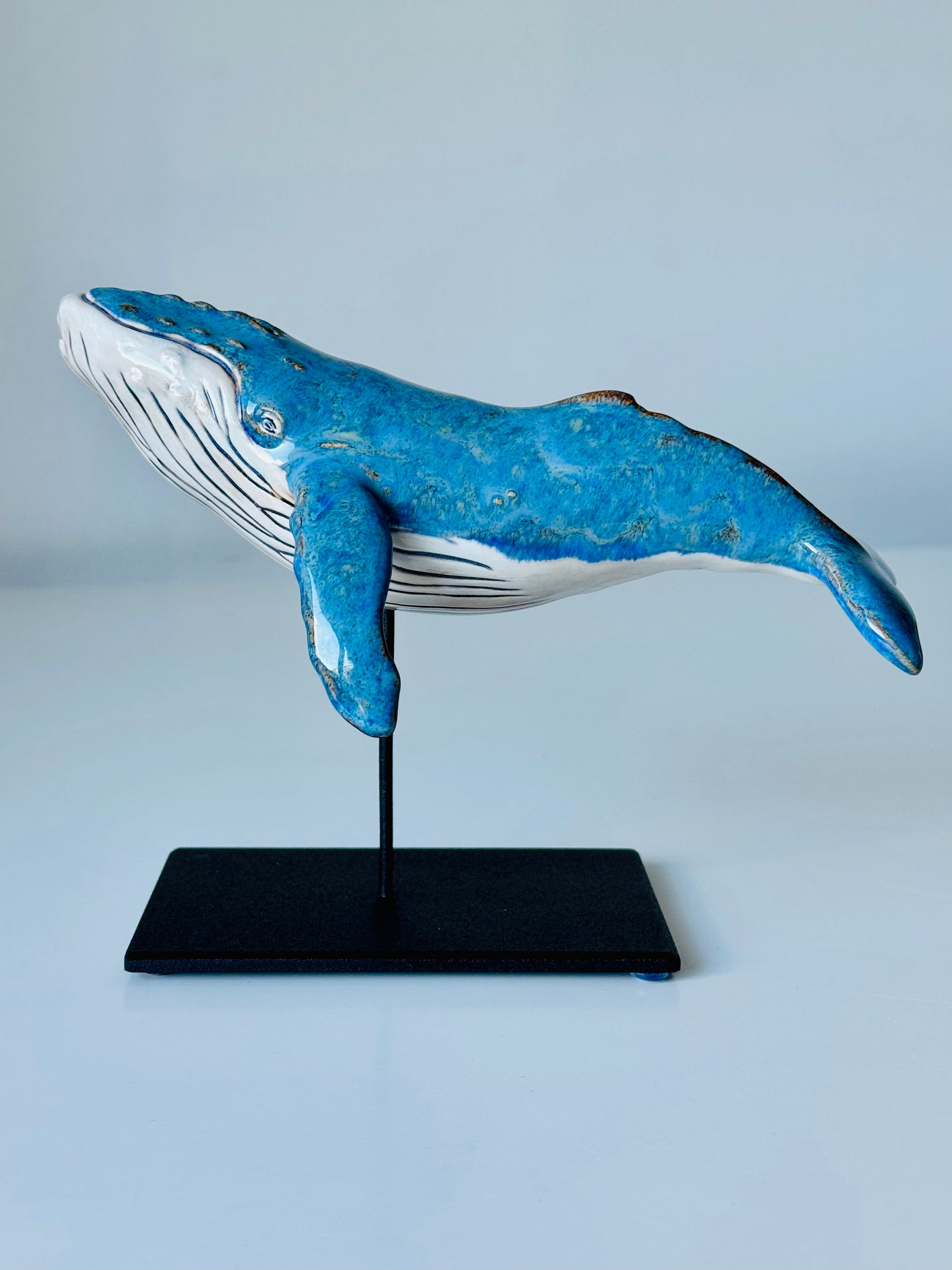 Baby Humpback Whale