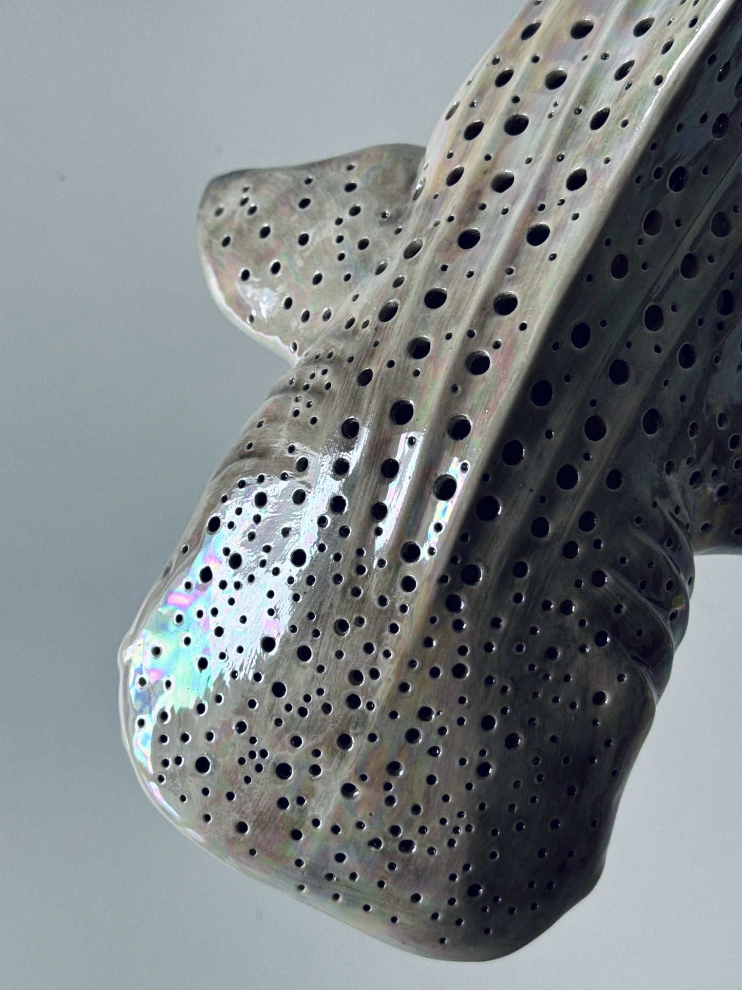 Shark Lamp