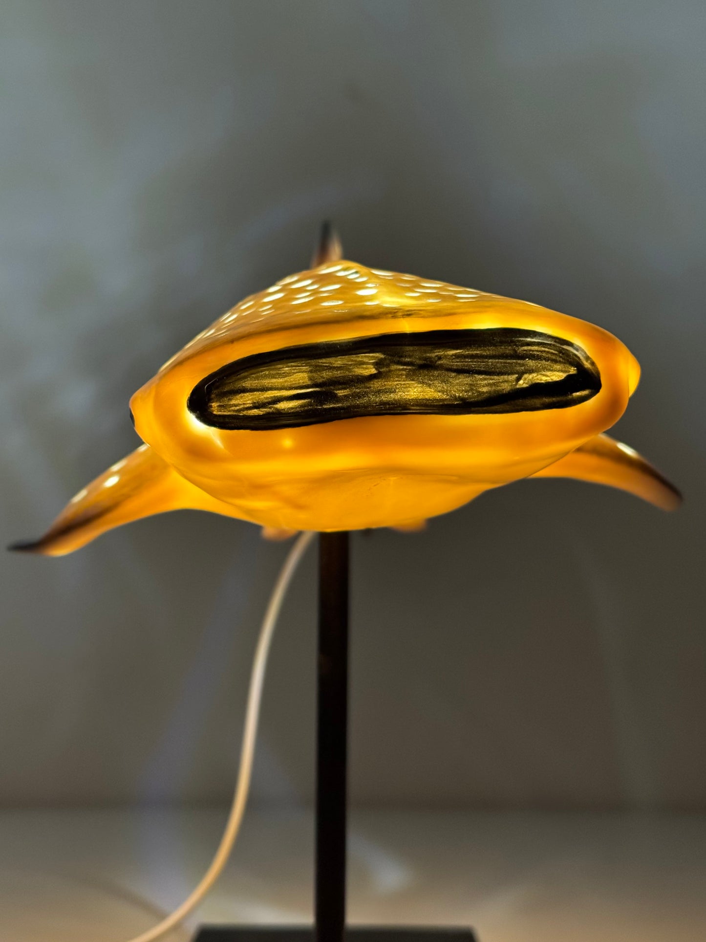 Shark Lamp