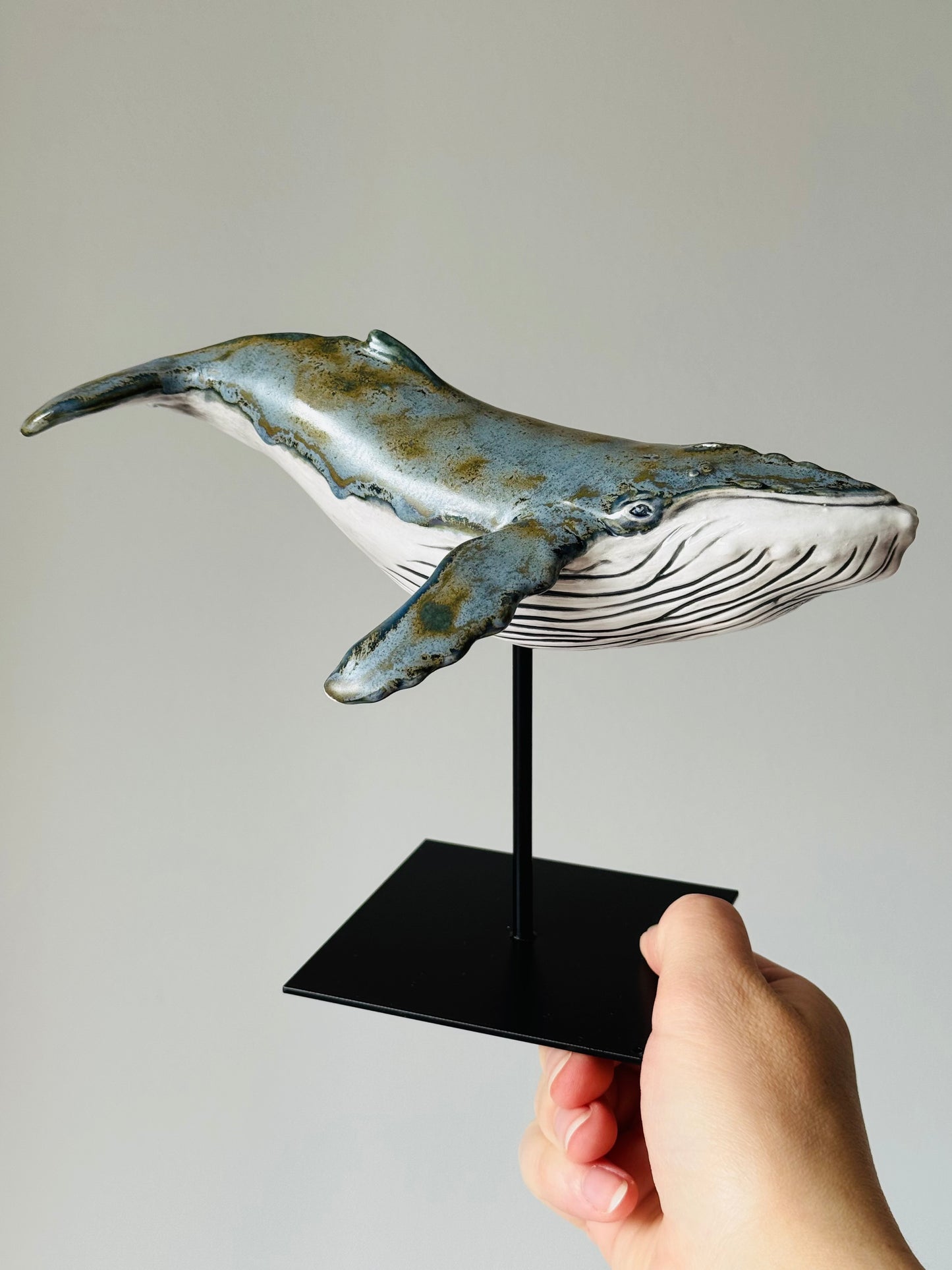Baby Humpback Whale