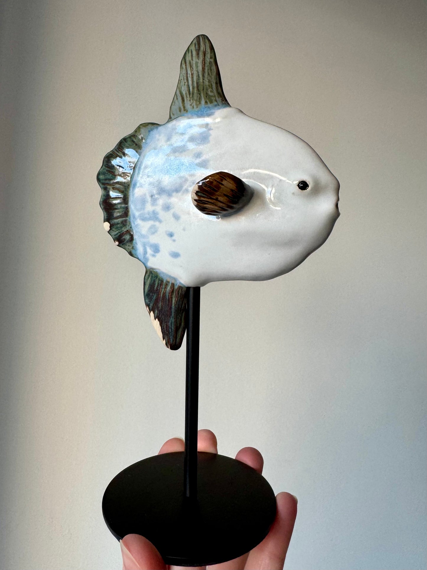 Mola Mola on a metal stand