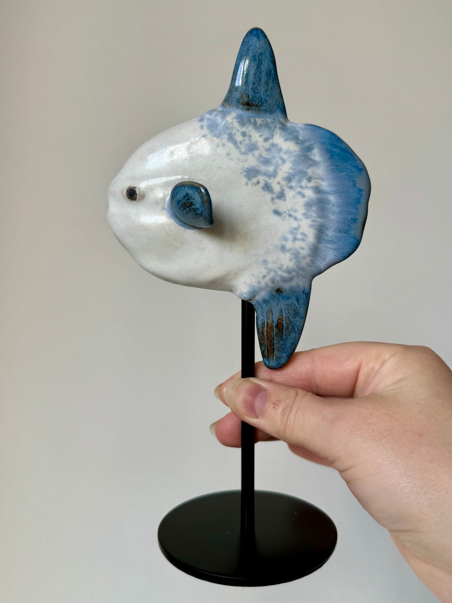 Mola Mola on a metal stand