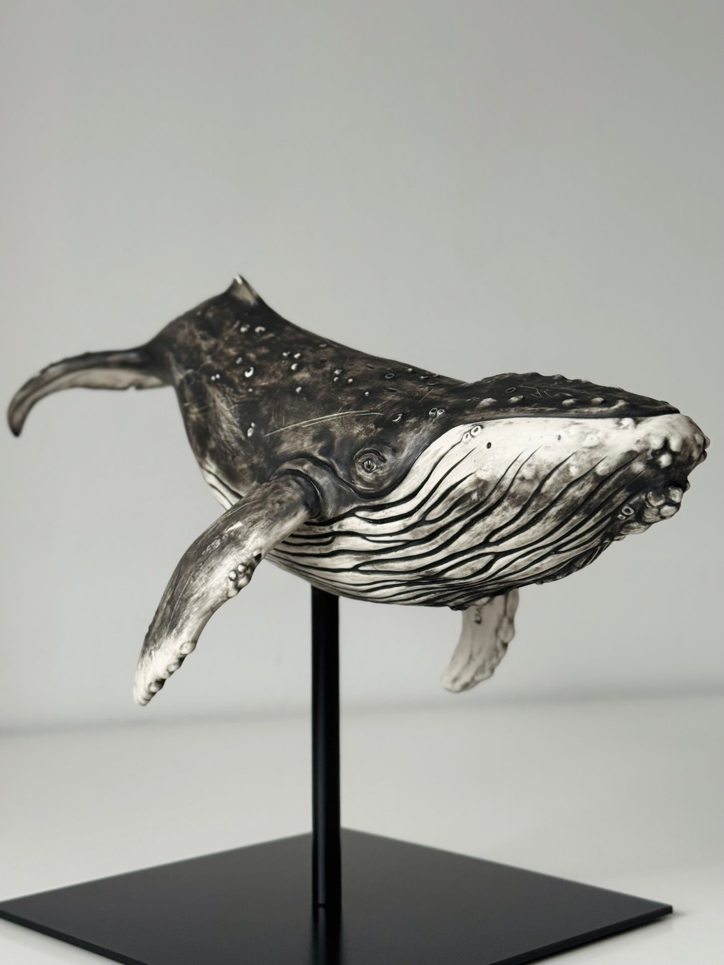 Big Humpback Whale
