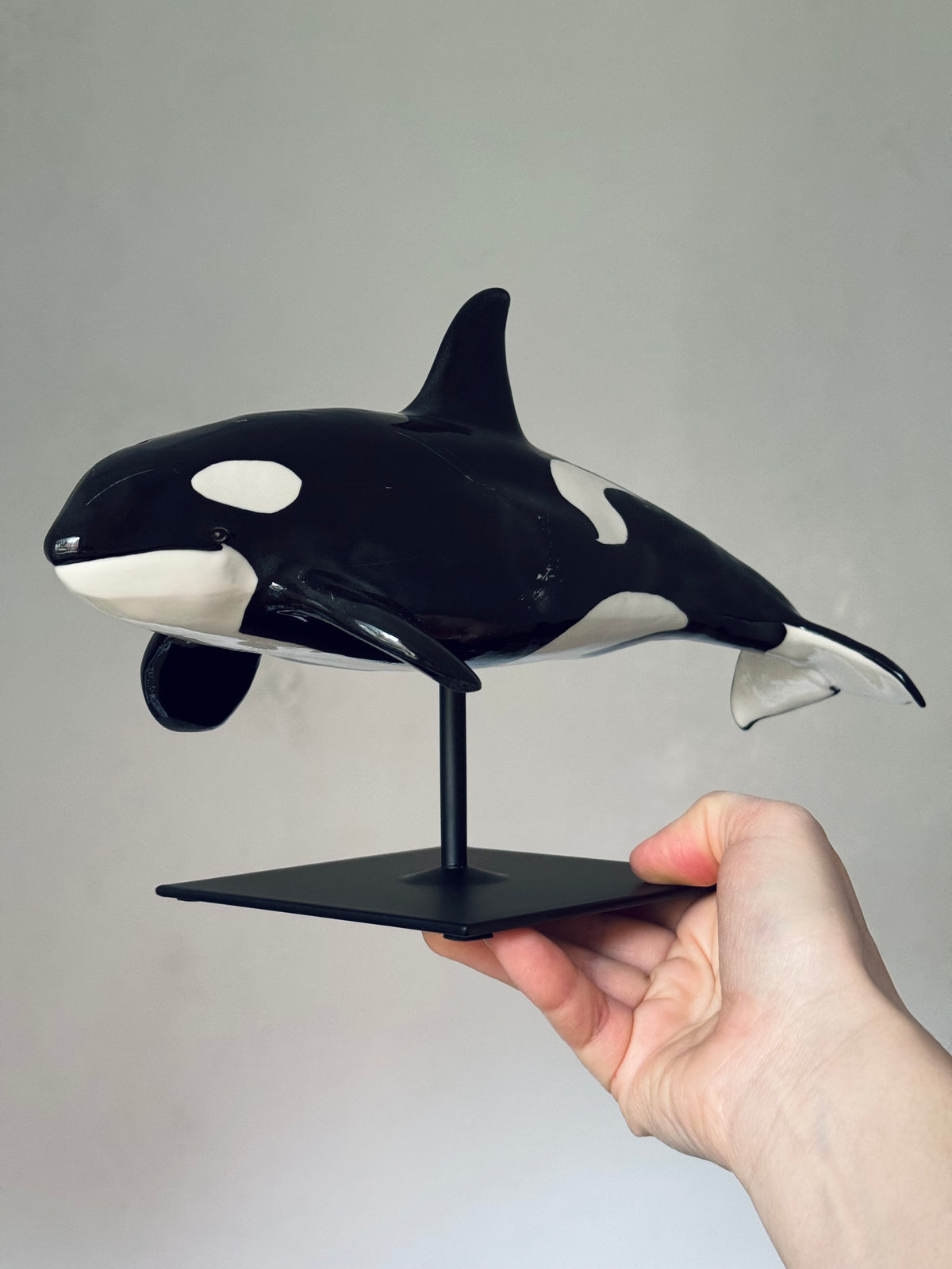 Orca on a stand