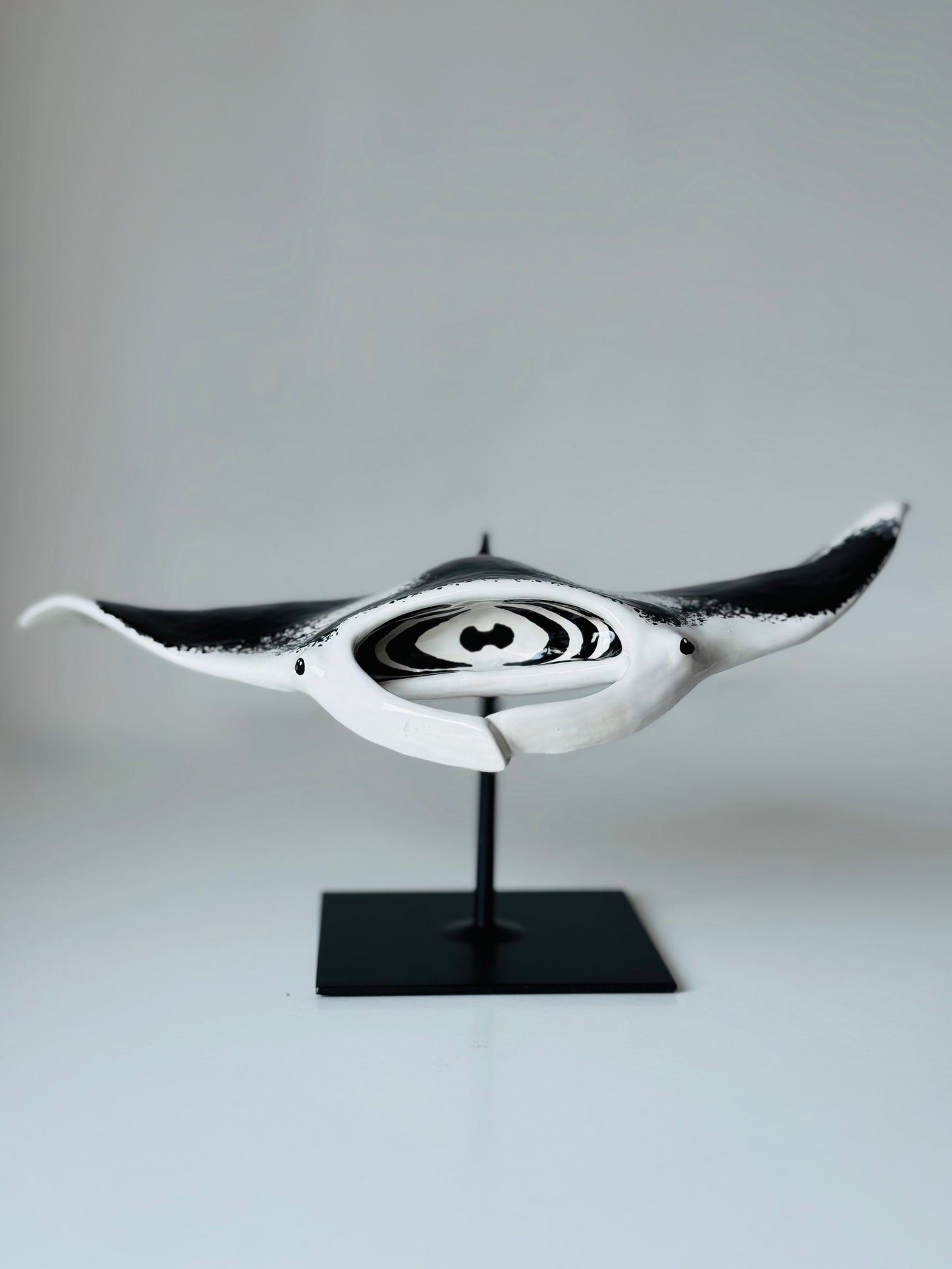 Big Manta Ray
