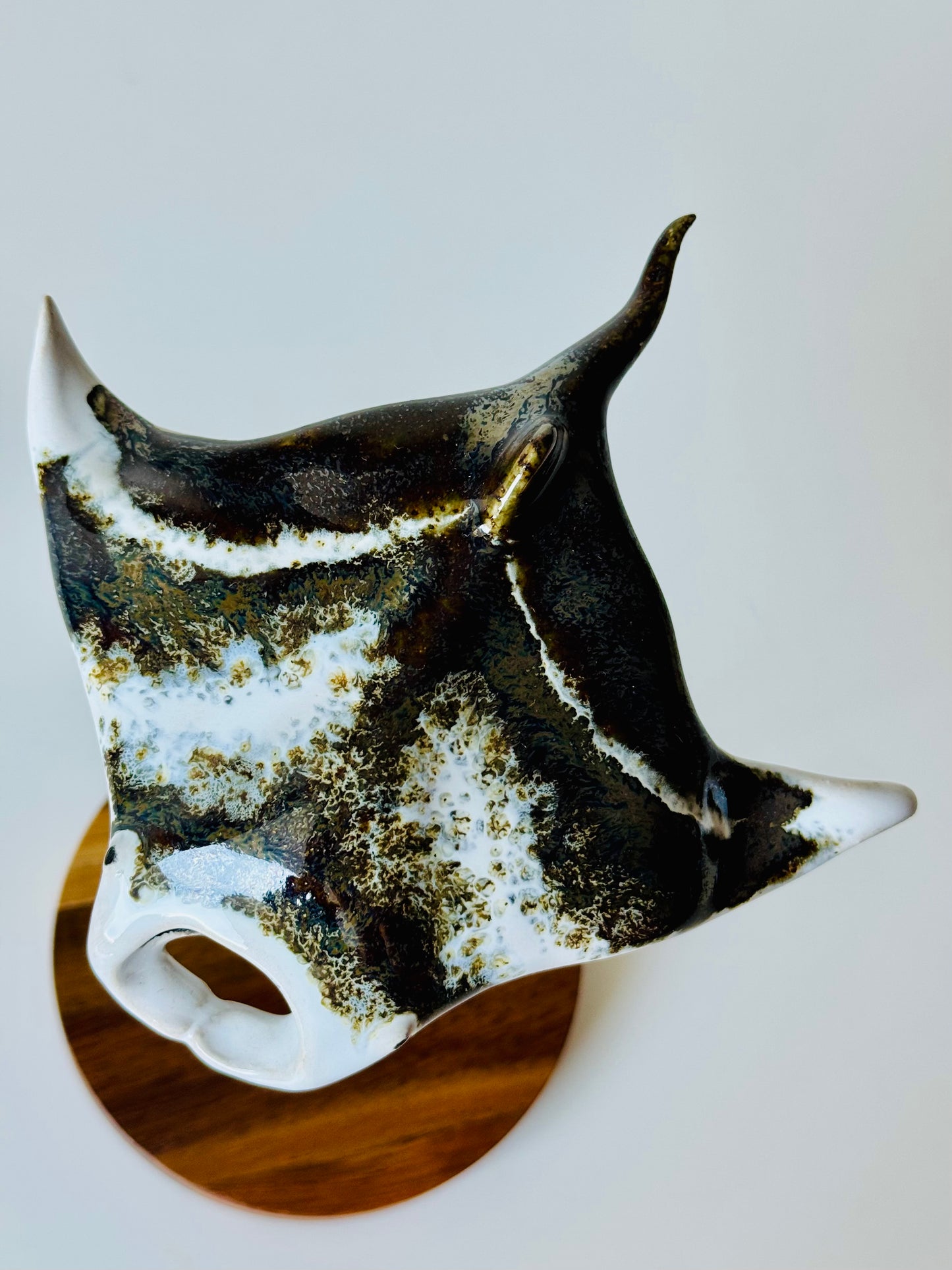 Manta Ray