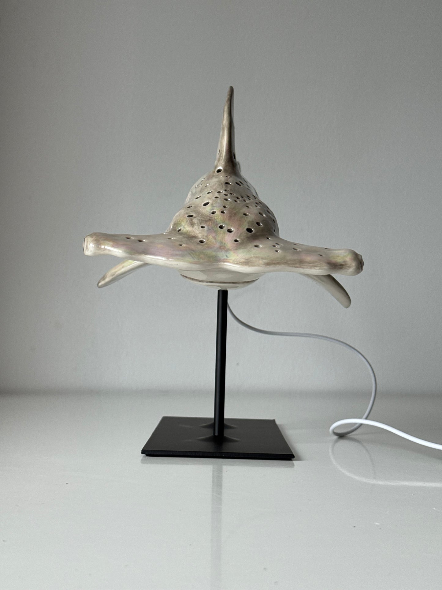 Hammerhead Shark Lamp