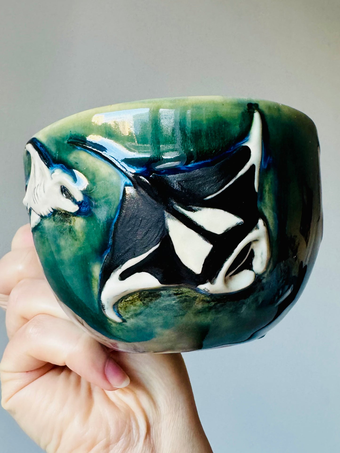 Flying Mantas Mug