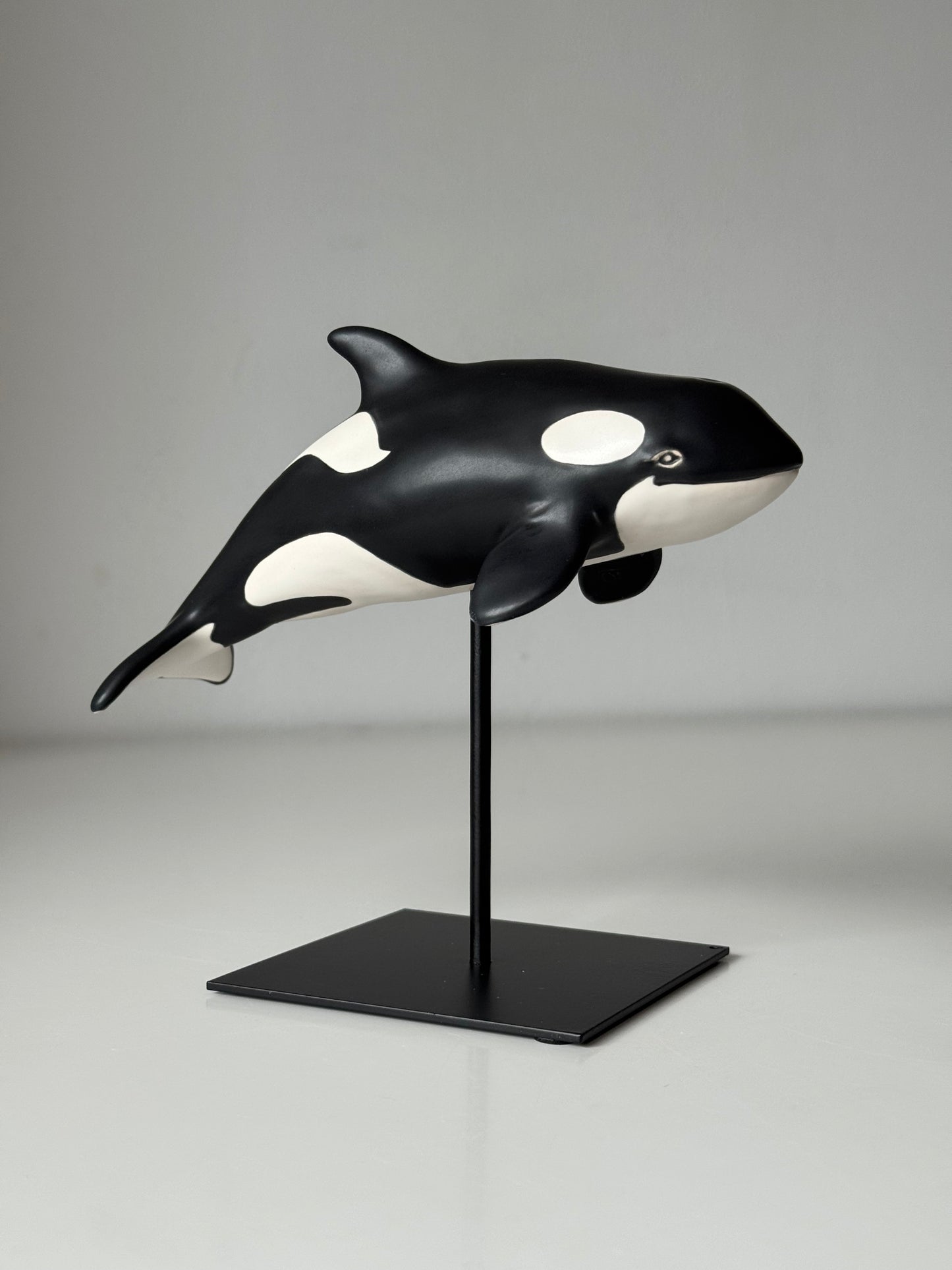 Baby Orca