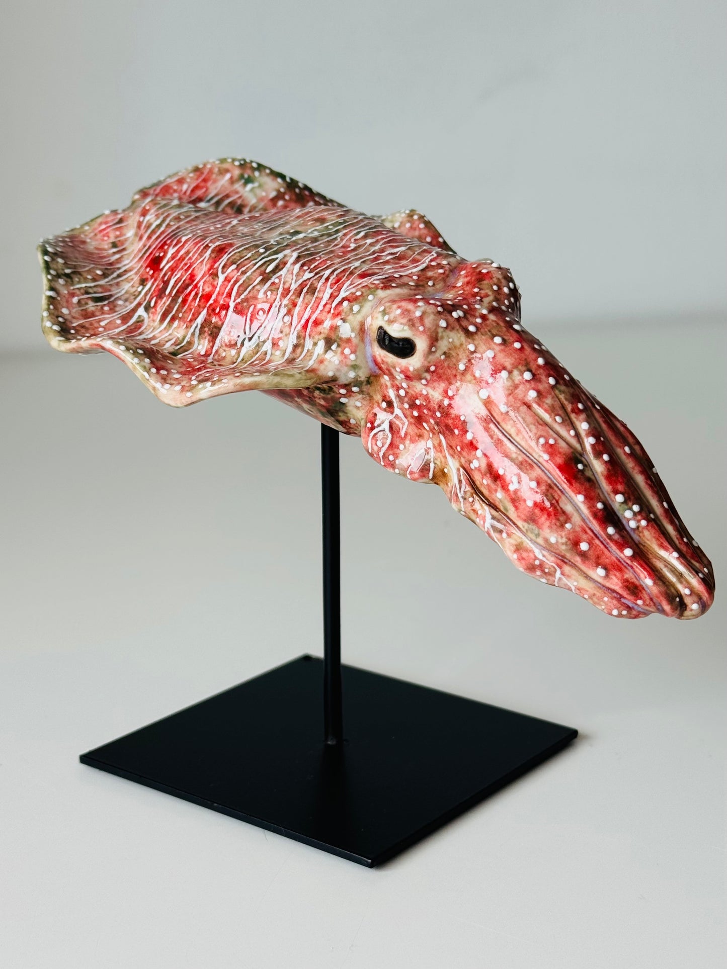 Cuttlefish