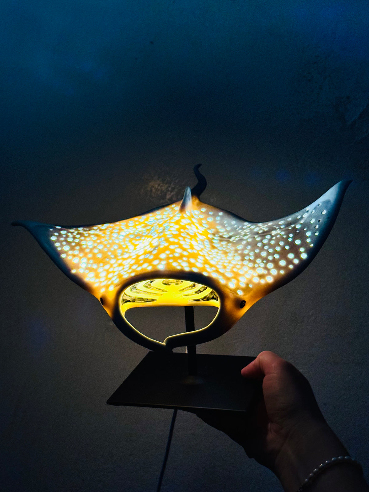 Big Manta Ray