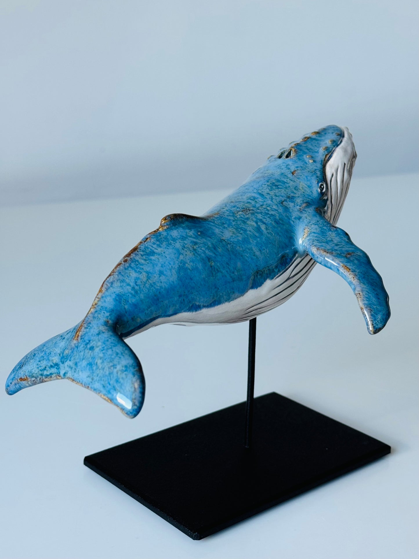 Baby Humpback Whale