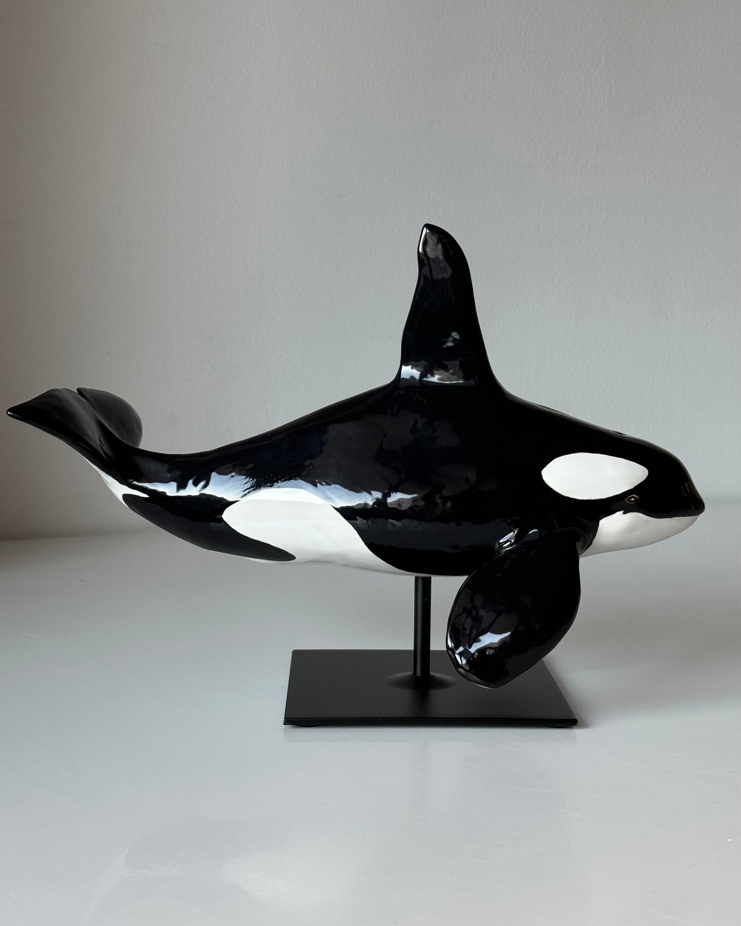 Male Orca on a stand