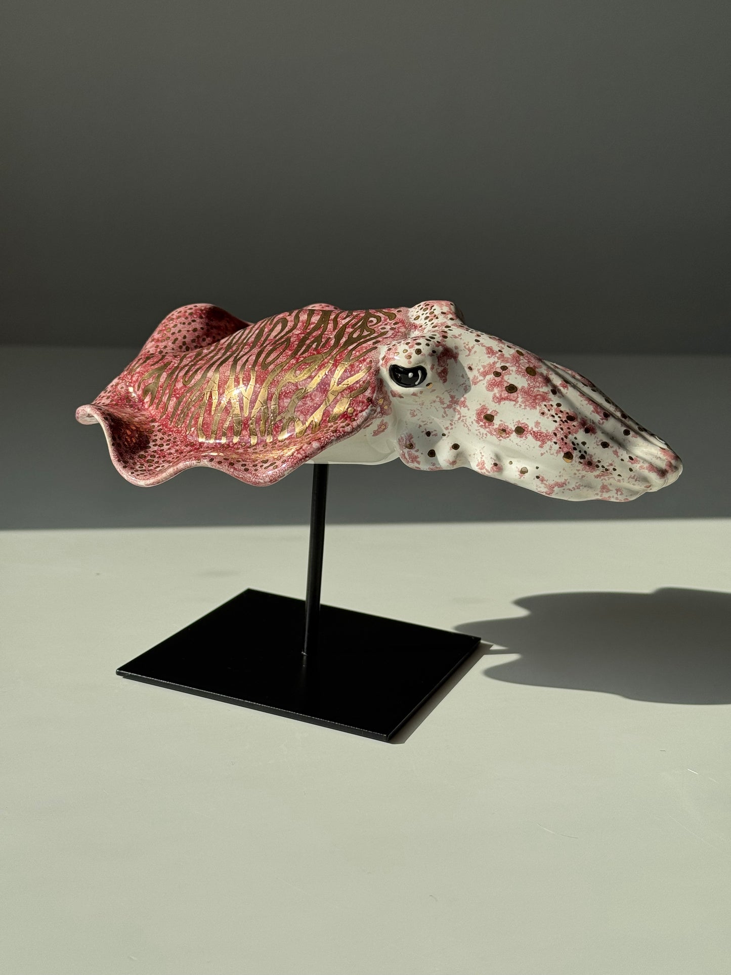Cuttlefish