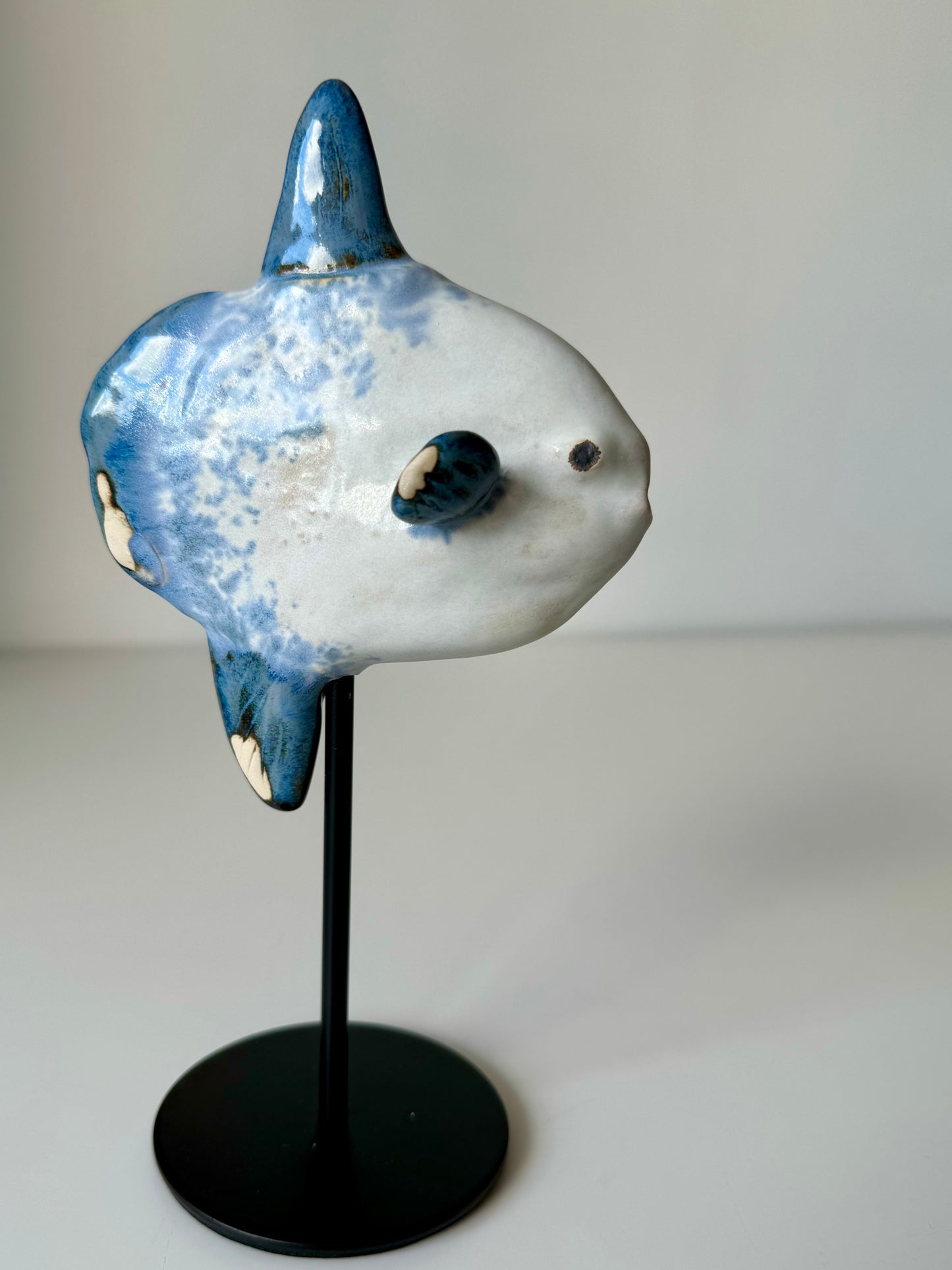 Mola Mola on a metal stand