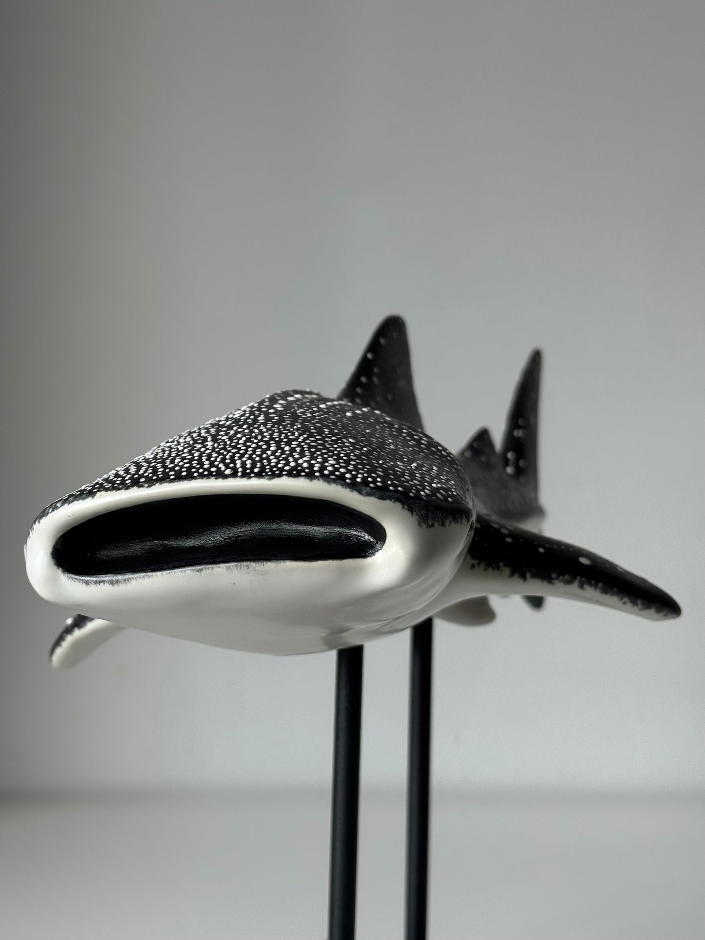 Whale Shark