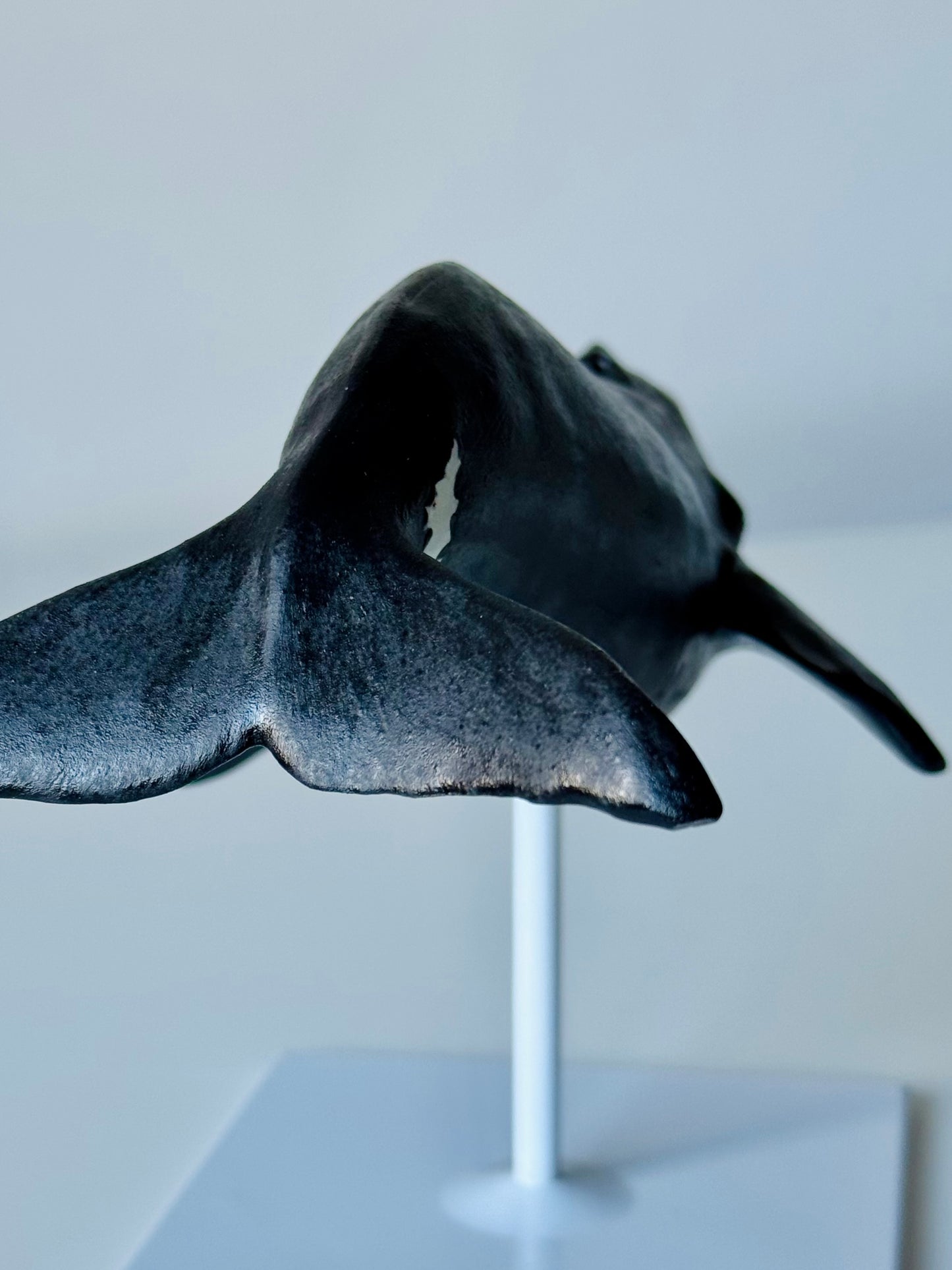Bowhead Whale