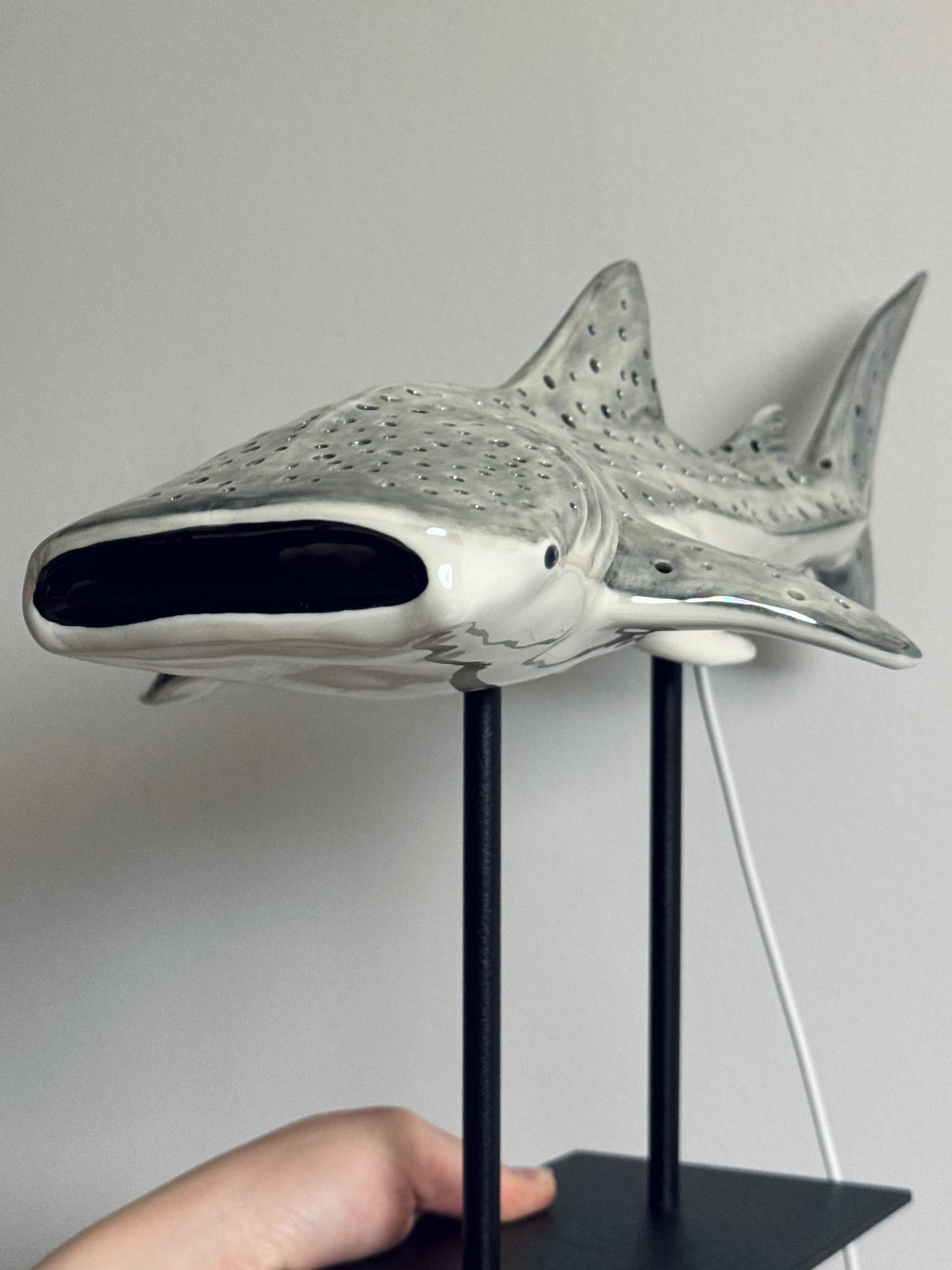 Shark Lamp