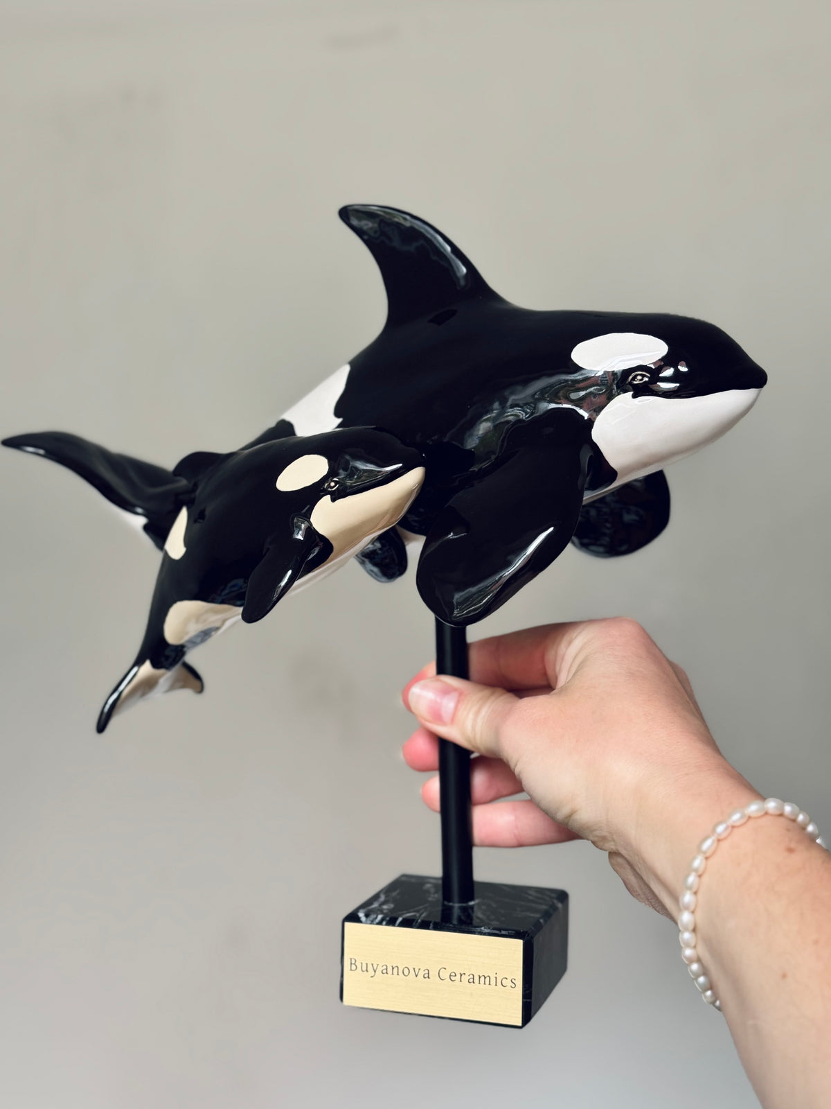 Mother and Calf Orcas