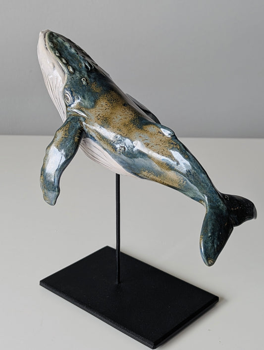 Baby Humpback Whale