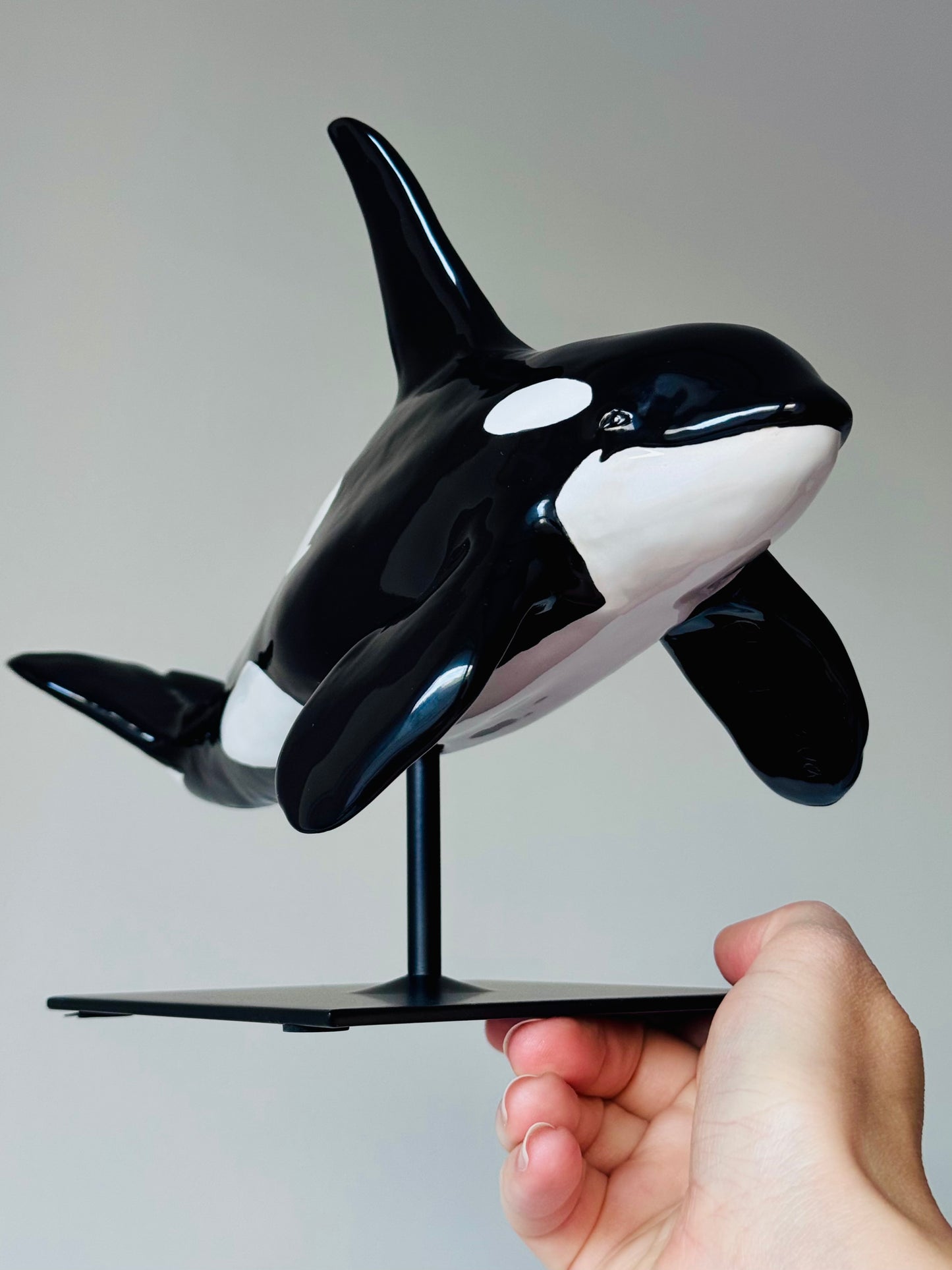 Male Orca on a stand