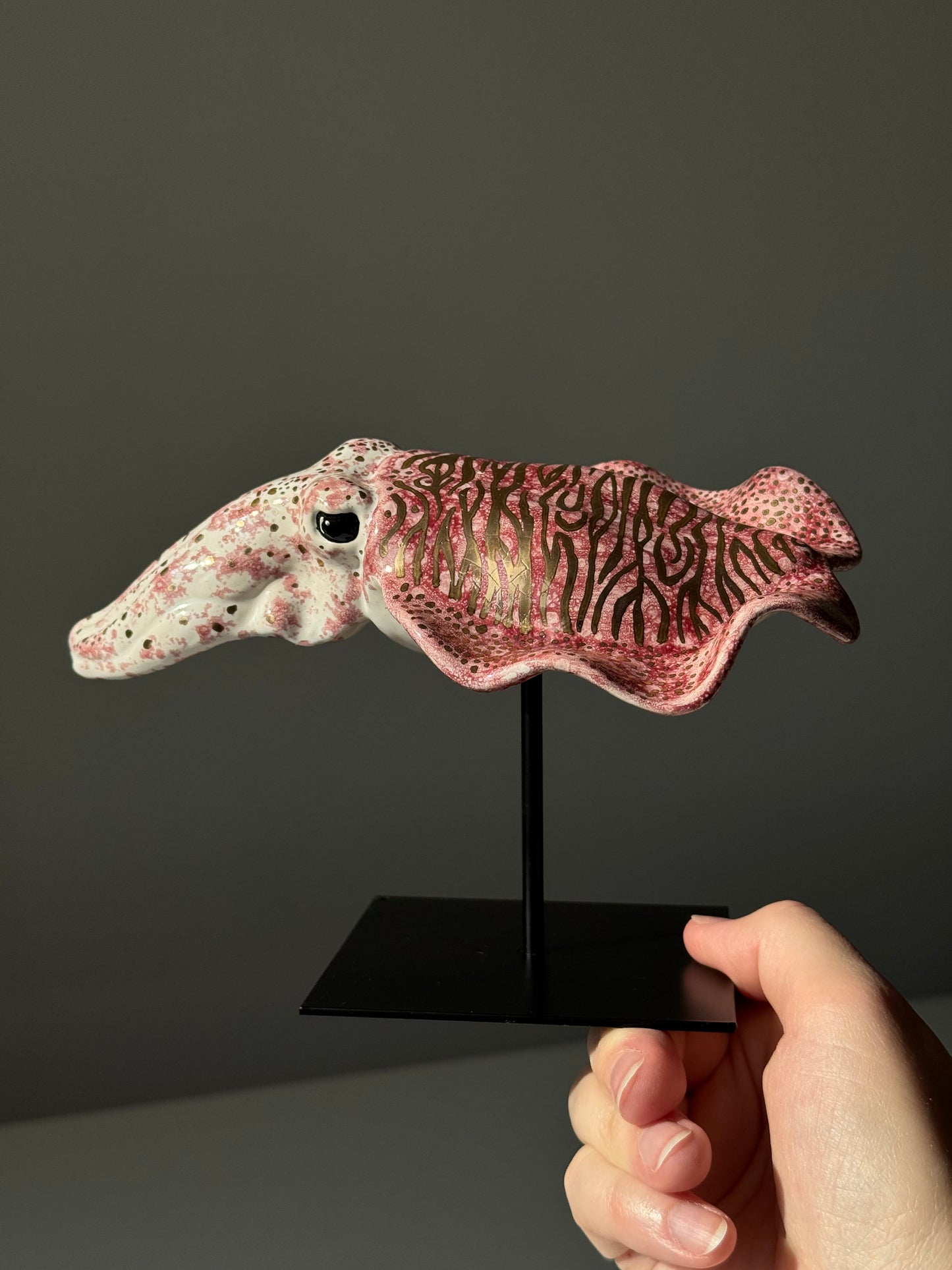 Cuttlefish