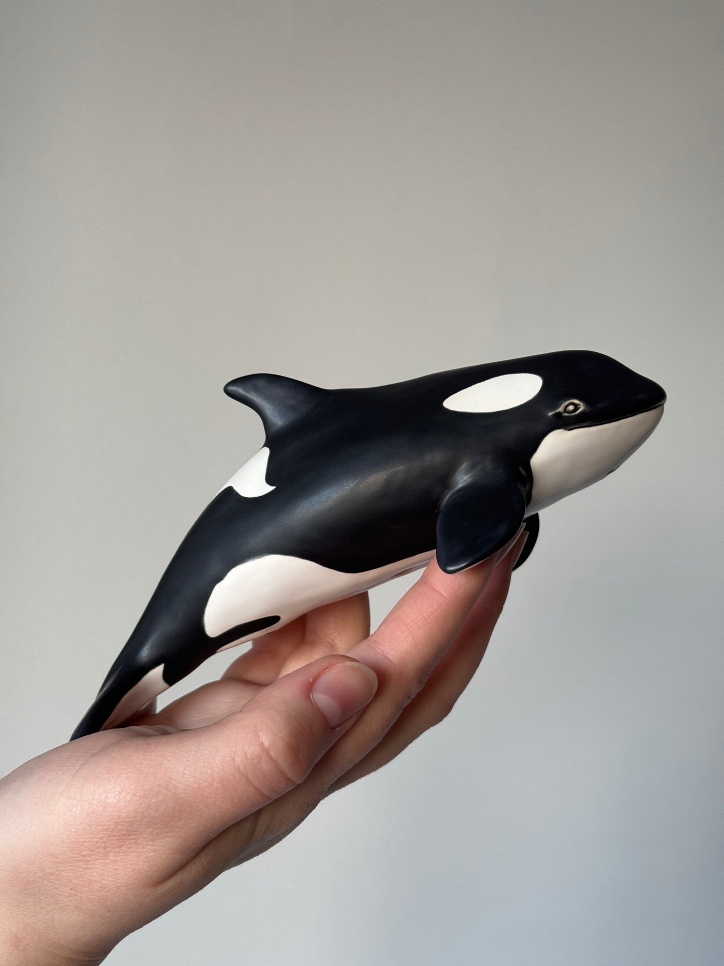 Baby Orca