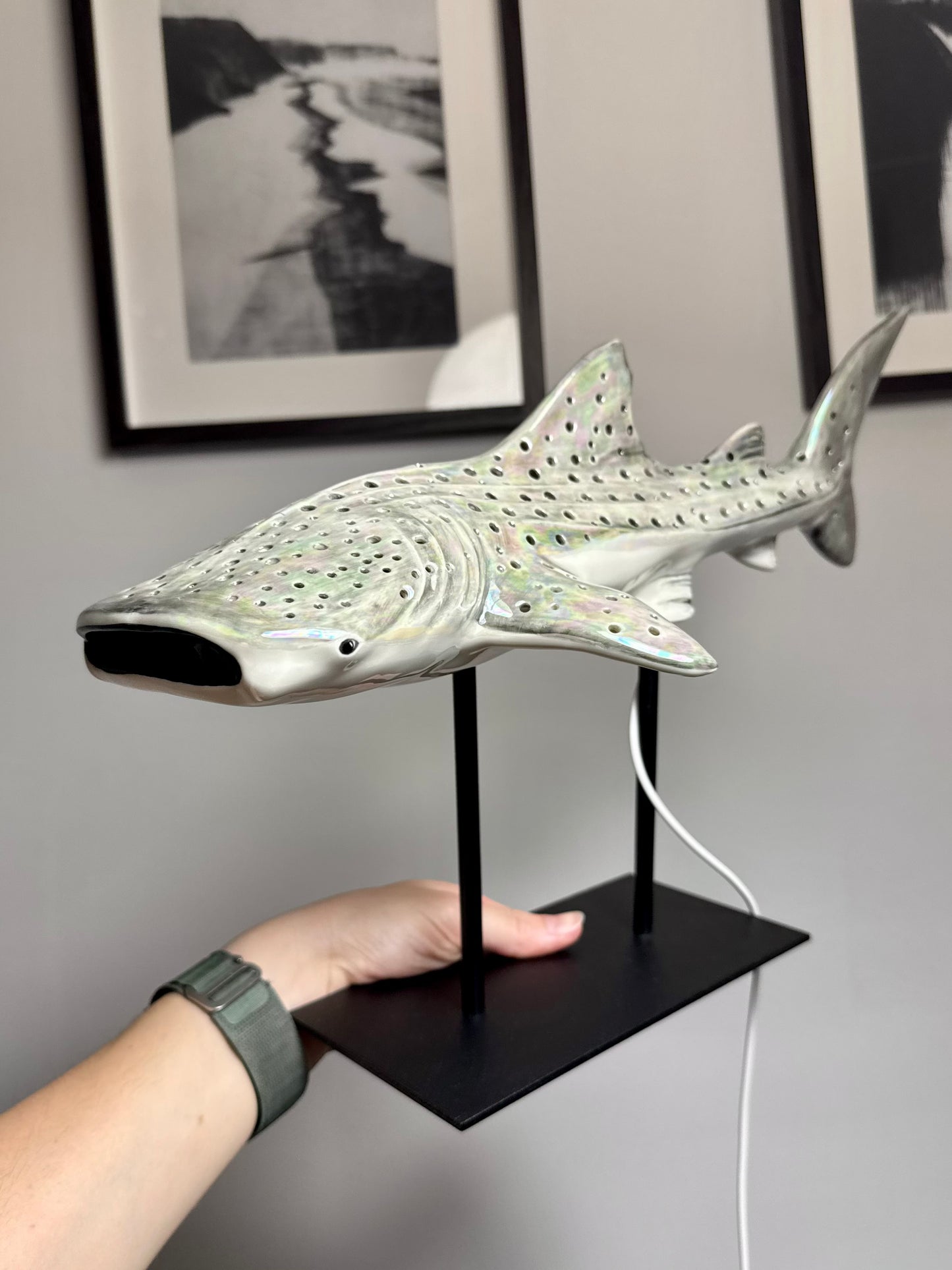 Shark Lamp