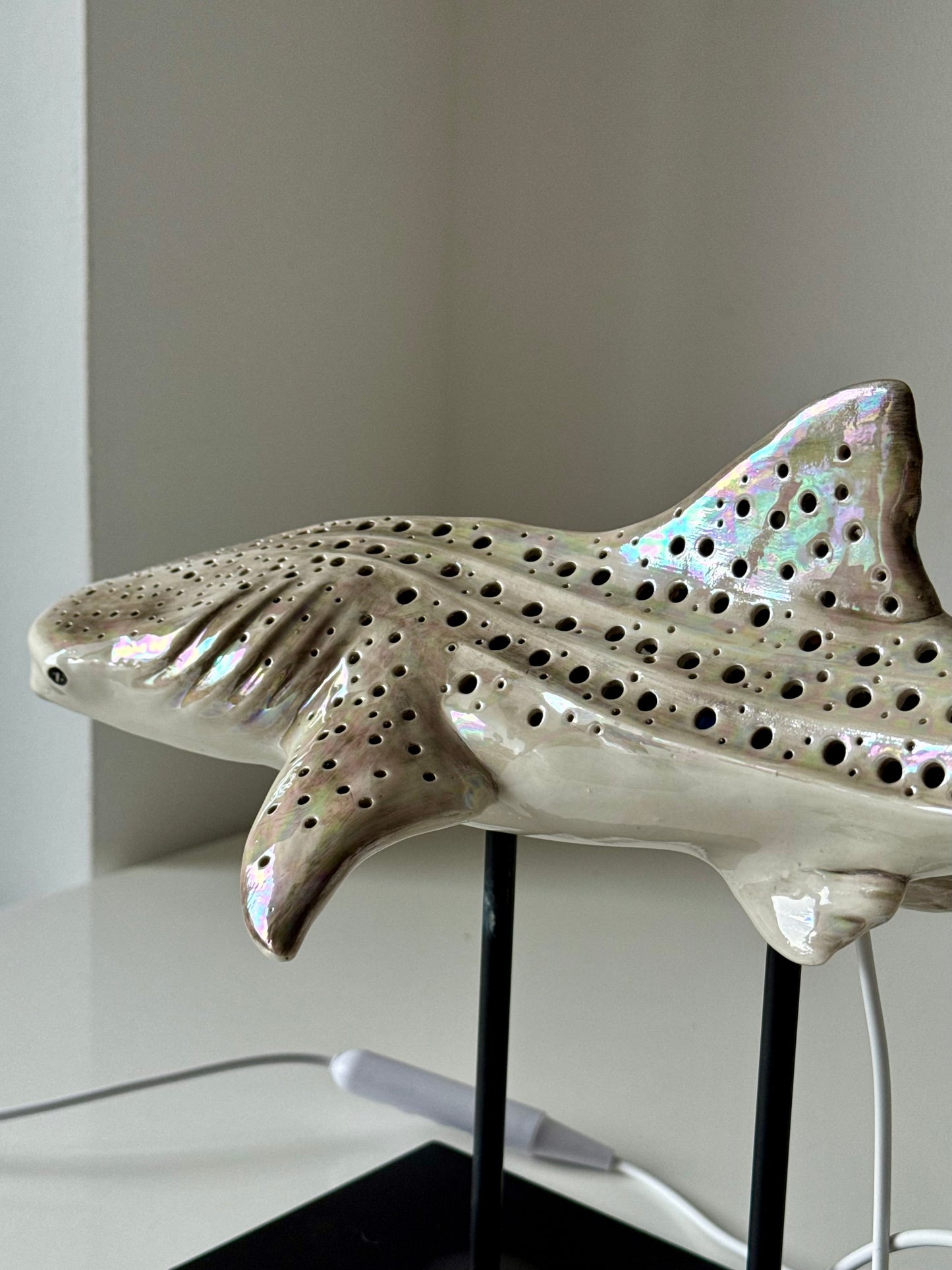 Shark Lamp